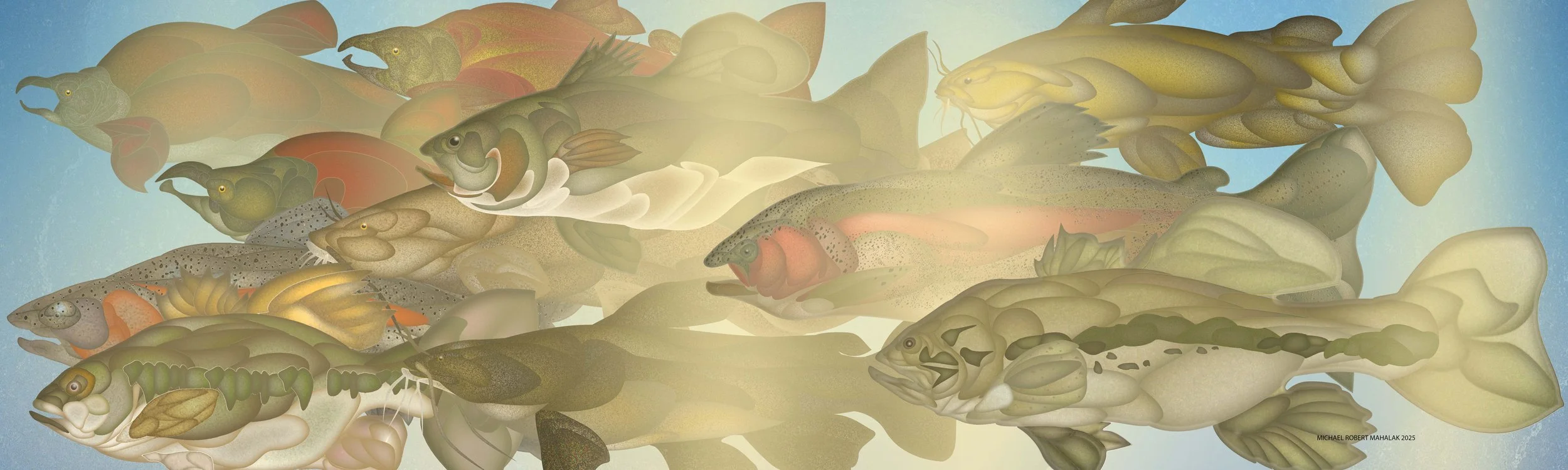 "Fresh Water Aquarium Life"
Digital, 50" x 15", 2024