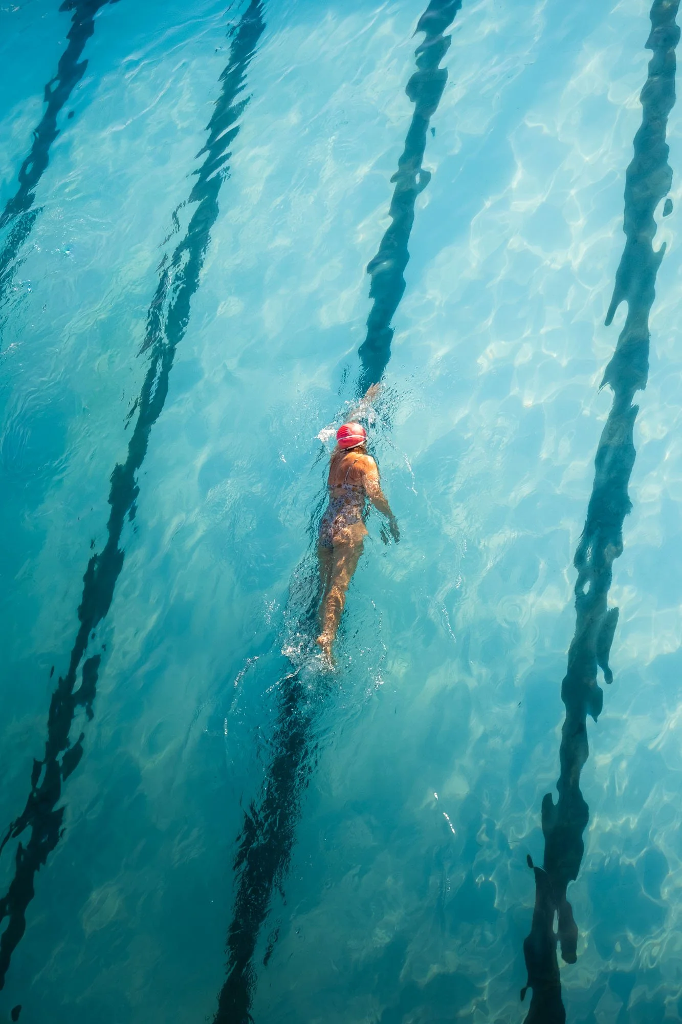 Swimmer in a swimming pool, wearing a red swim cap, swimming in lane lines.