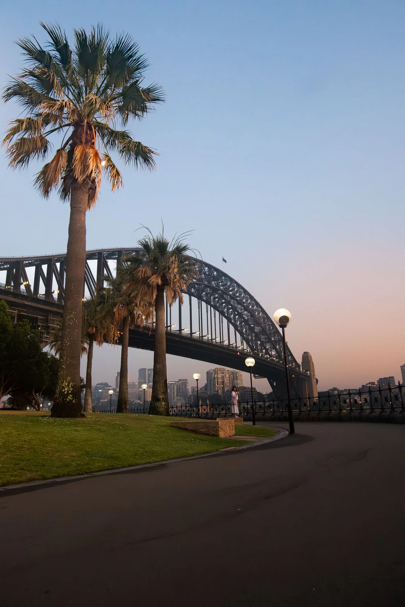 View of the Sydney Harbour Bridge with palm trees and a park in the foreground during sunset, with some city buildings in the background.