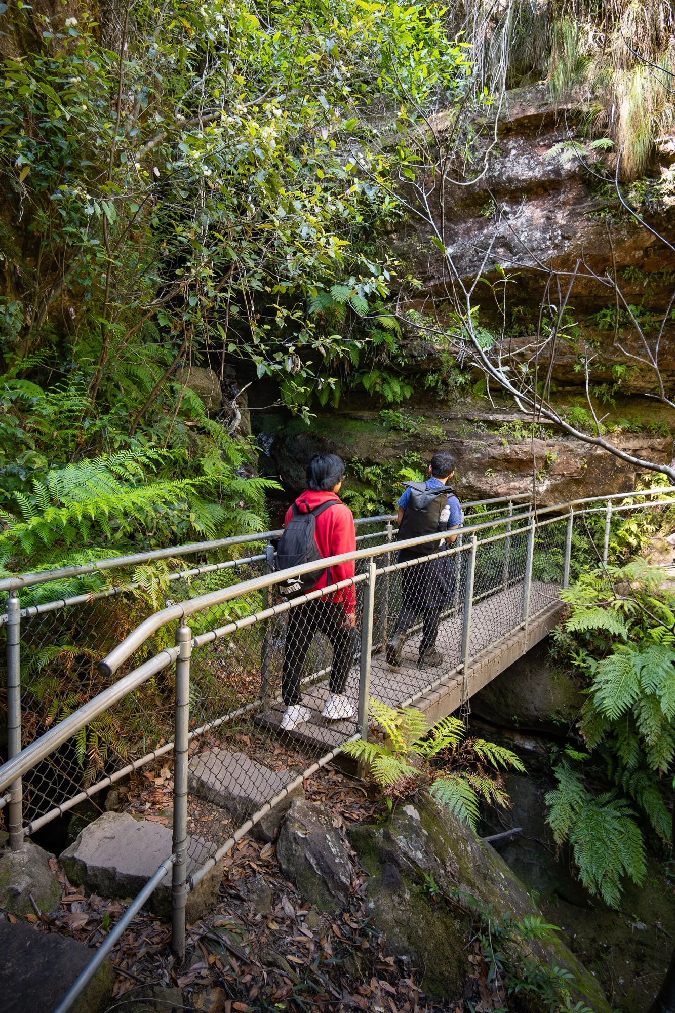 Three people wearing backpacks walking on a metal bridge in a lush, green forest with dense foliage and rocks below.
