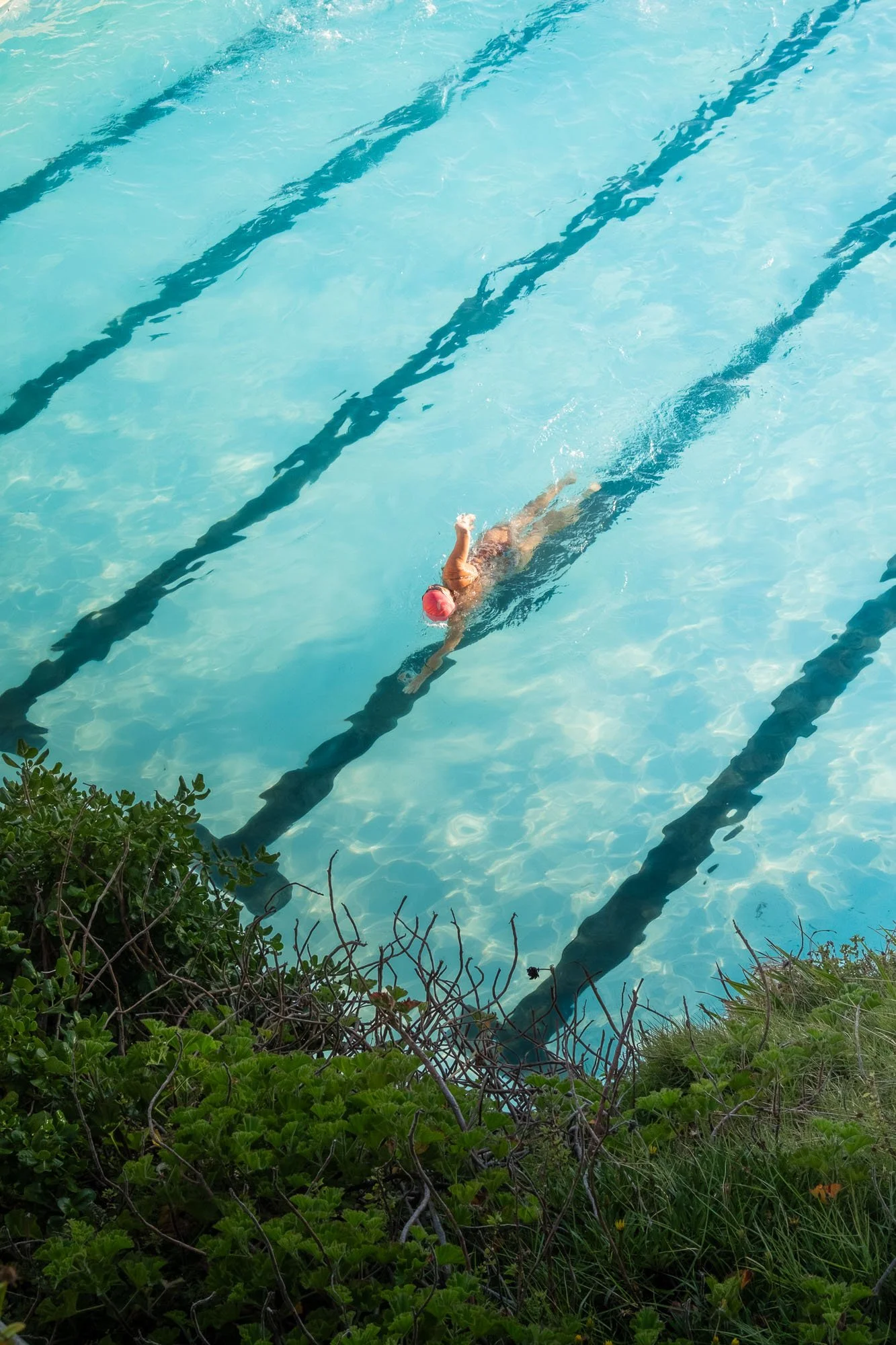 A swimmer wearing a red swim cap swimming in a clear blue outdoor swimming pool with black lane lines.