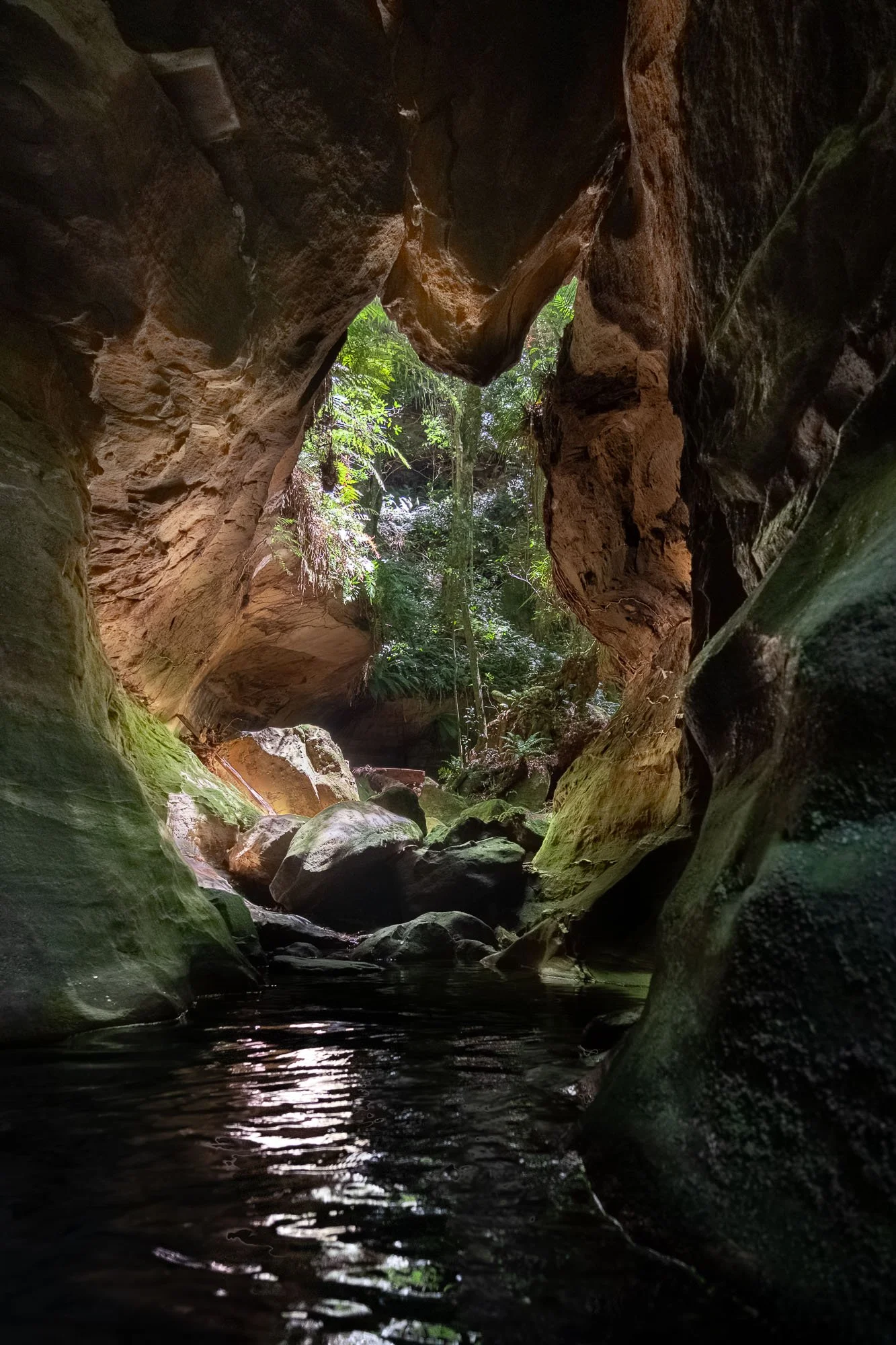A view from the bottom of a narrow canyon with high rocky walls and a small stream of water flowing through it. Sunlight filters in from above, illuminating some green foliage.