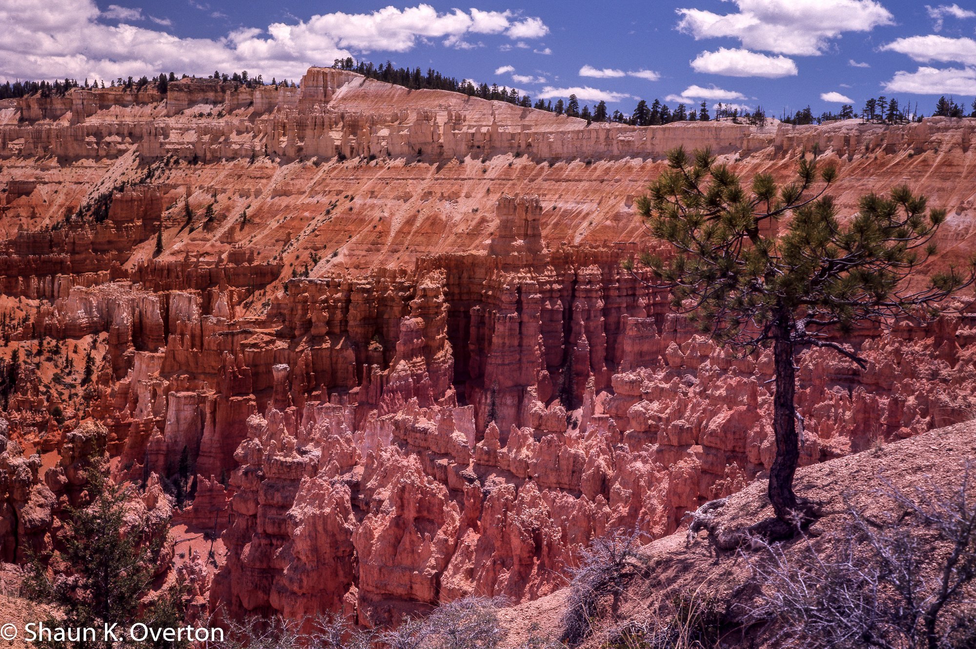Bryce Canyon - Utah