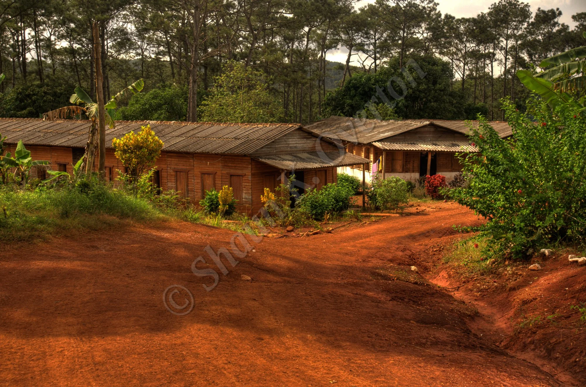 School in the rain forest - Cuba