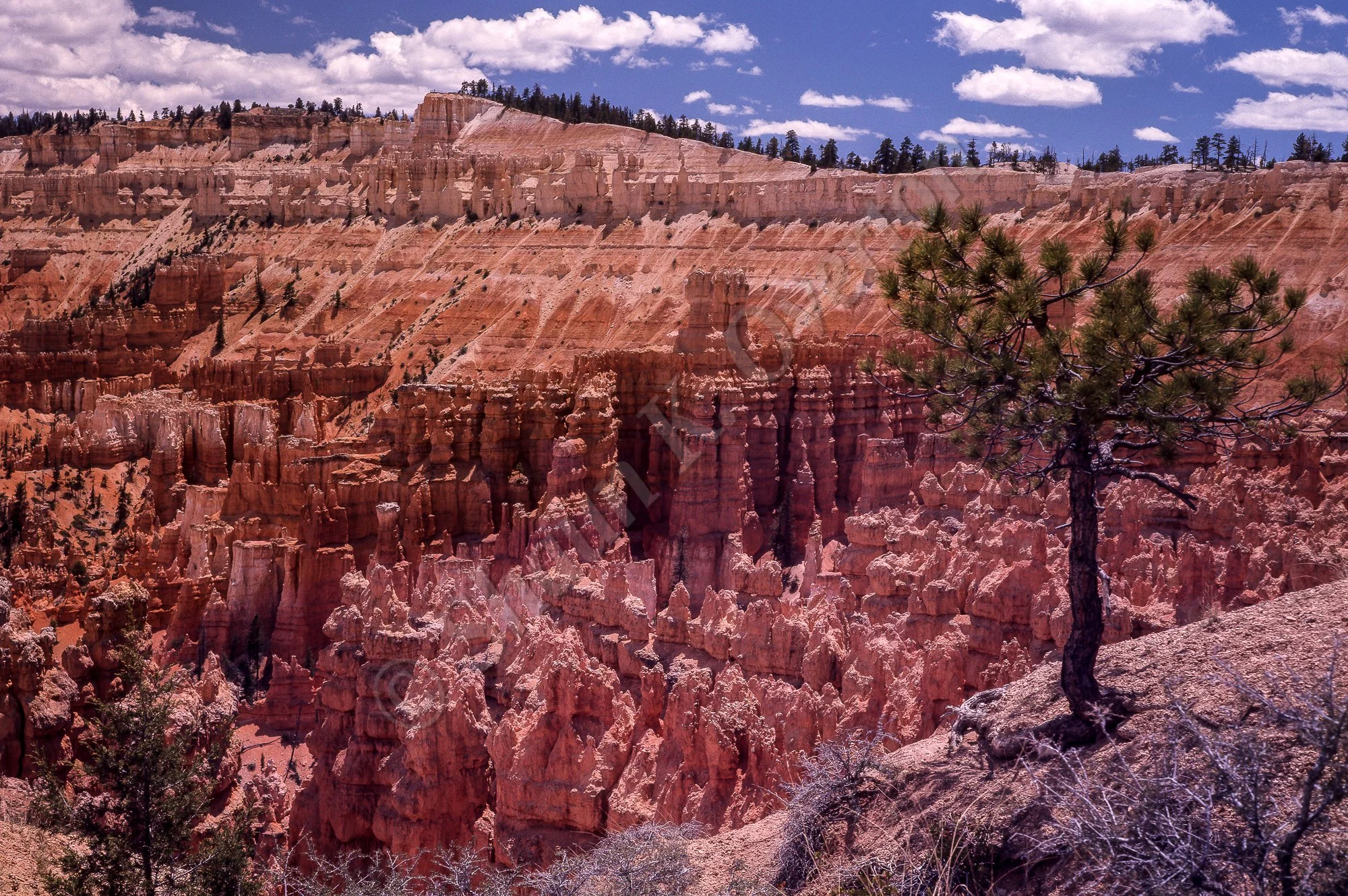 Bryce canyon - Utah