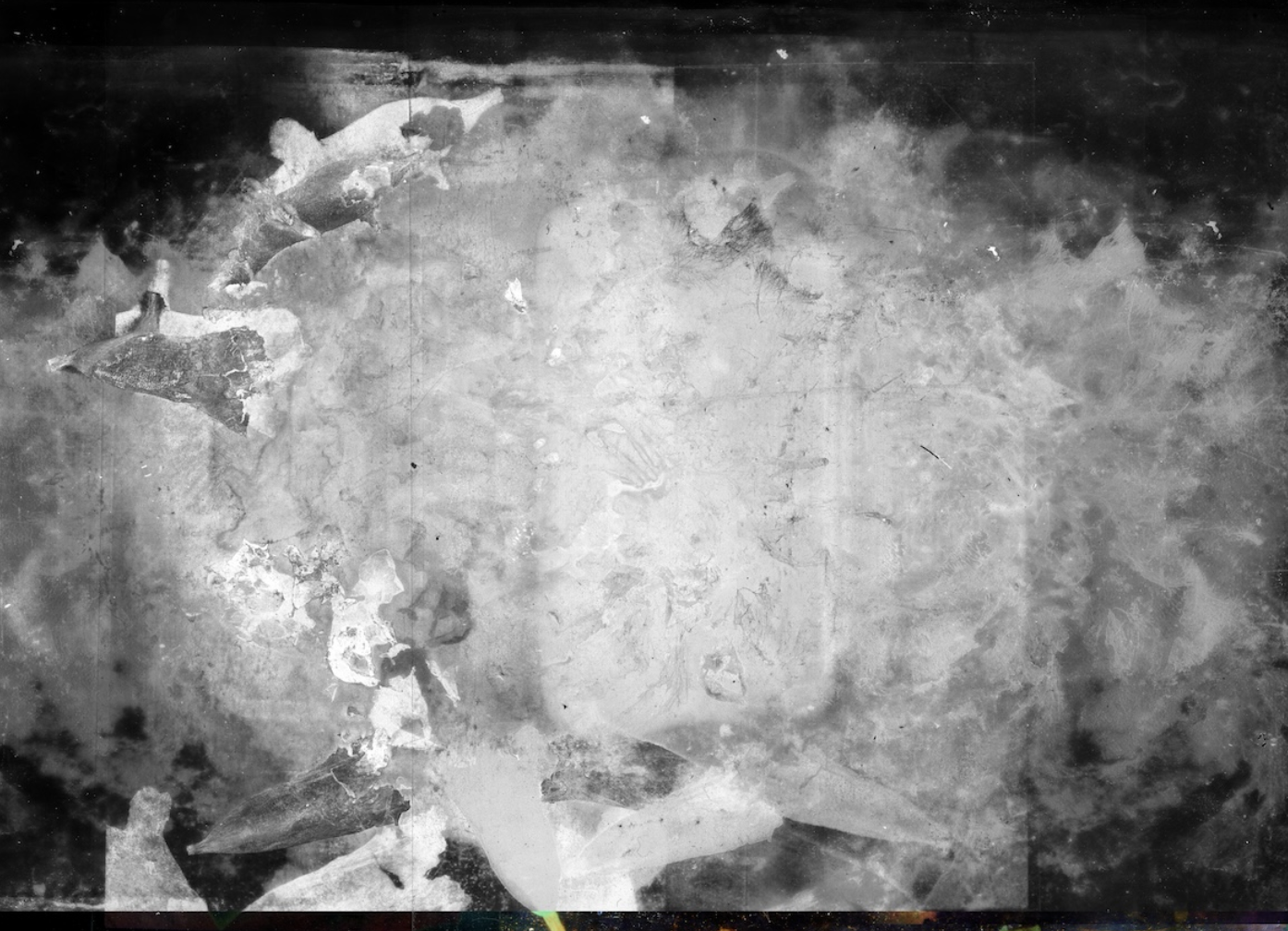 Screenshot 2026-04-18 at 11.17.01 PM.png