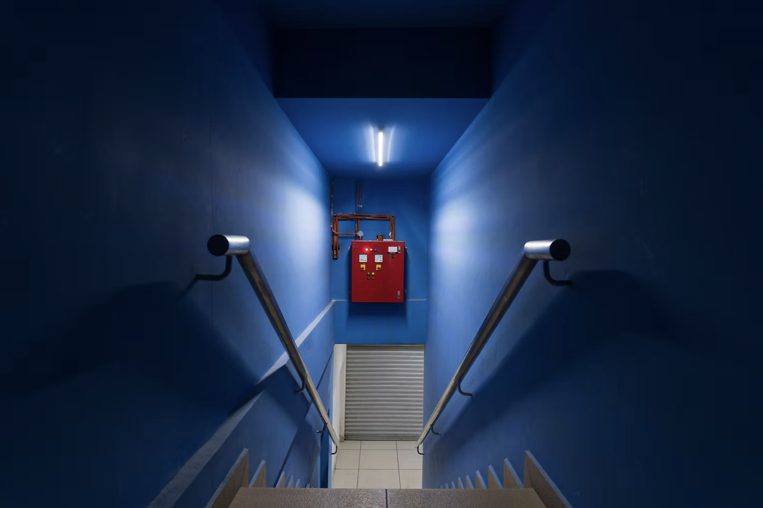 Phenomenon, 2025 by David Loh