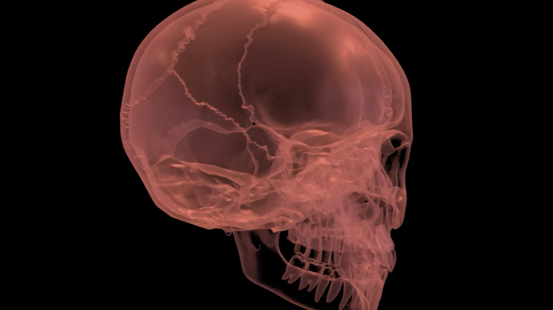 Protocol of Contact (Edition 1/1), 2026 by Æther Cavendish