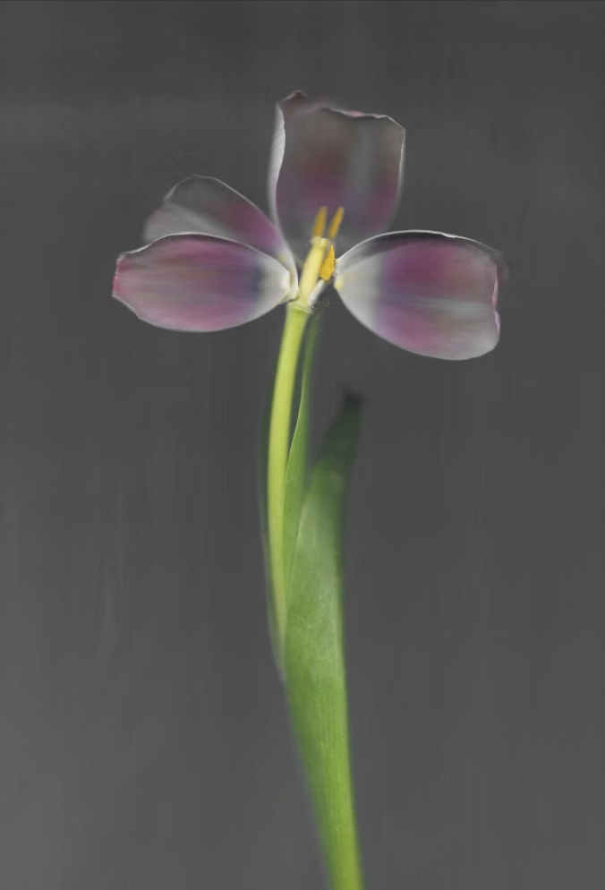 Screenshot 2026-03-23 at 10.35.04 PM.png