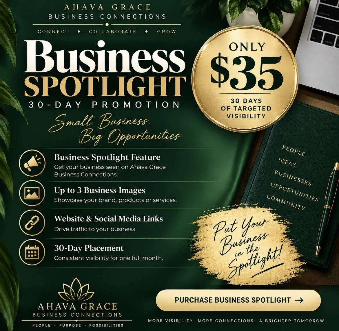 Business Spotlight — 30-Day Promotion