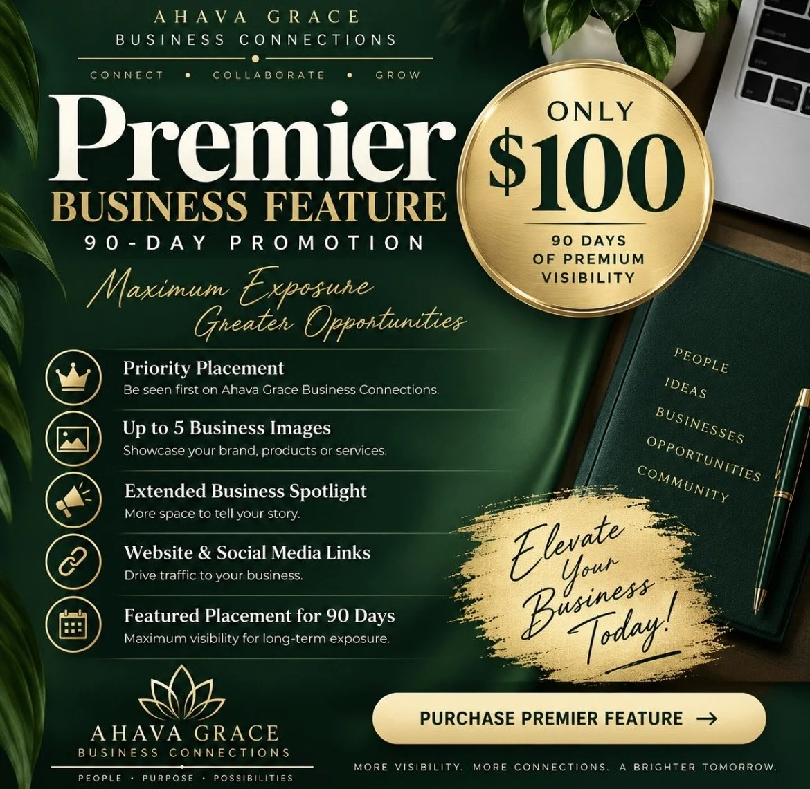 Premier Business Feature — 90-Day Promotion