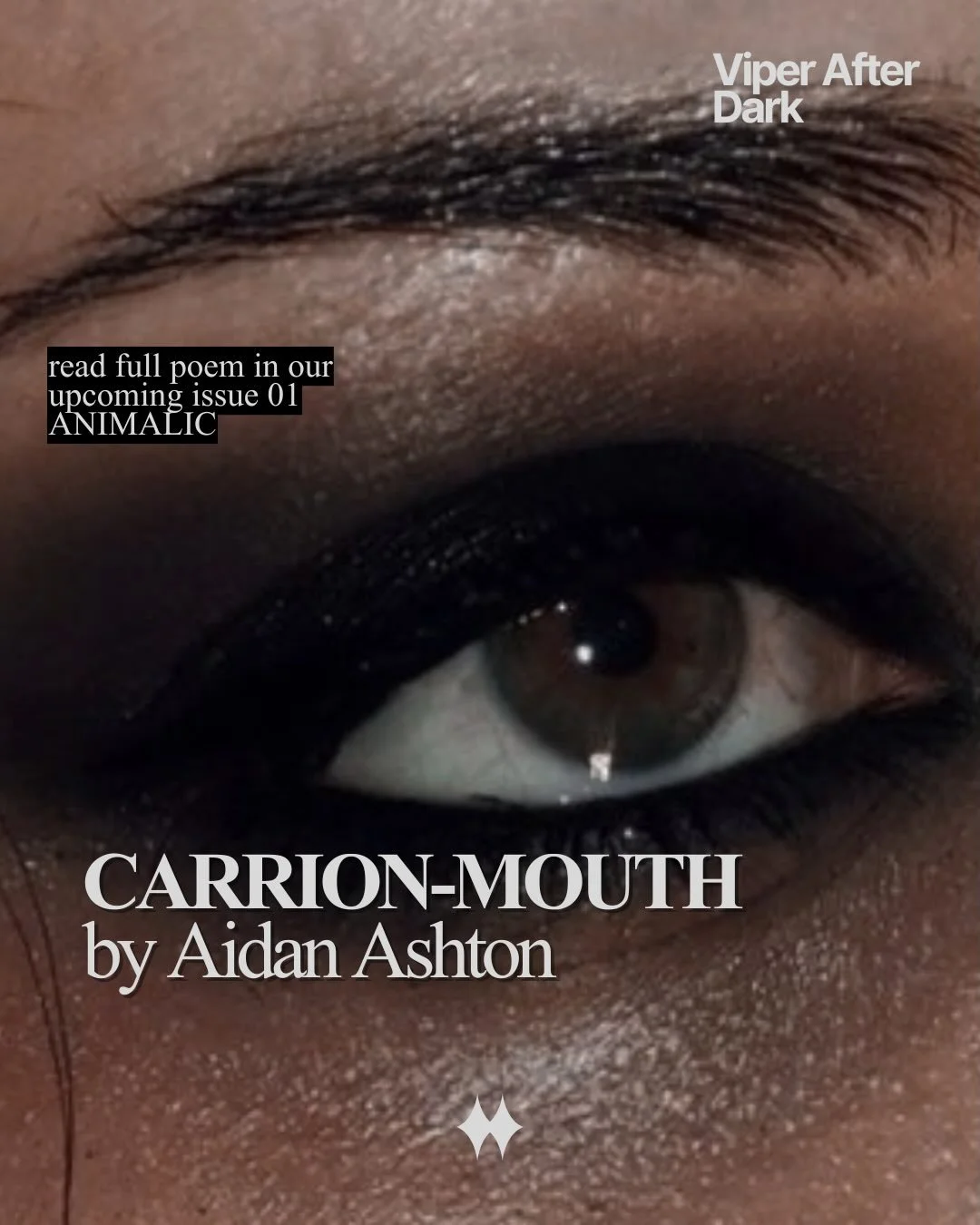 @silk_button_poetry X viper media - @vipermediamxg // 

Aidan Ashton is an emerging non-binary poet from Yorkshire with an affinity for insects and rot. When not writing poetry or prose about nature, queerness, and monsters, they enjoy vampire films 