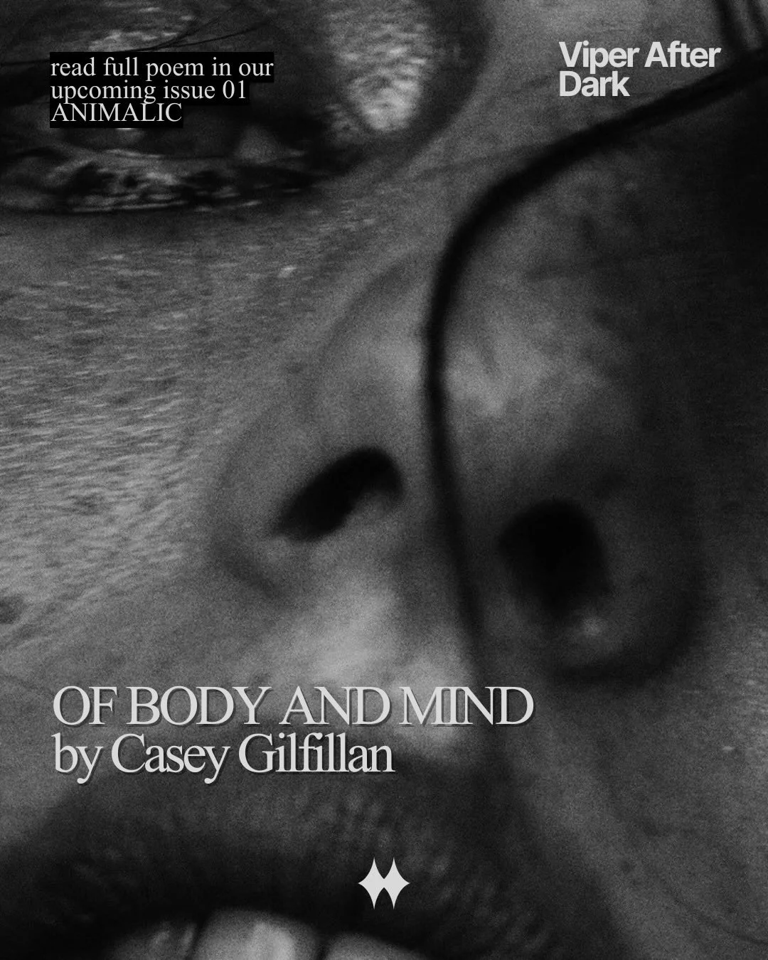 @caseykasemy X viper media - @vipermediamxg // 

Casey Gilfillan is an American writer and co-author of the literary blog, Femme Fatalism. She holds abachelor&rsquo;s degree in English and philosophy, and uses an existentialist perspective to guide h
