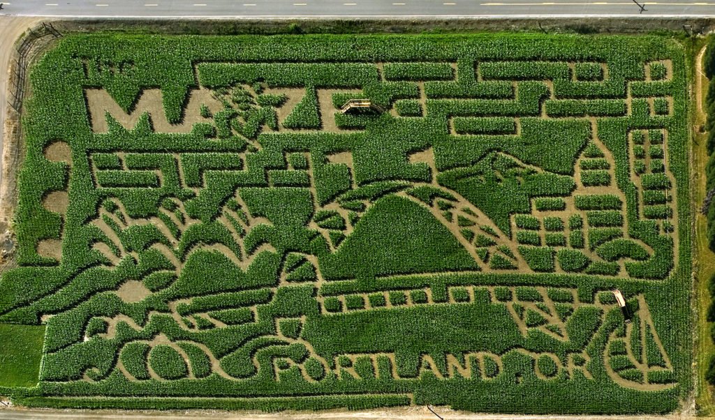 2008_Maize_Portland-1024x602.jpg