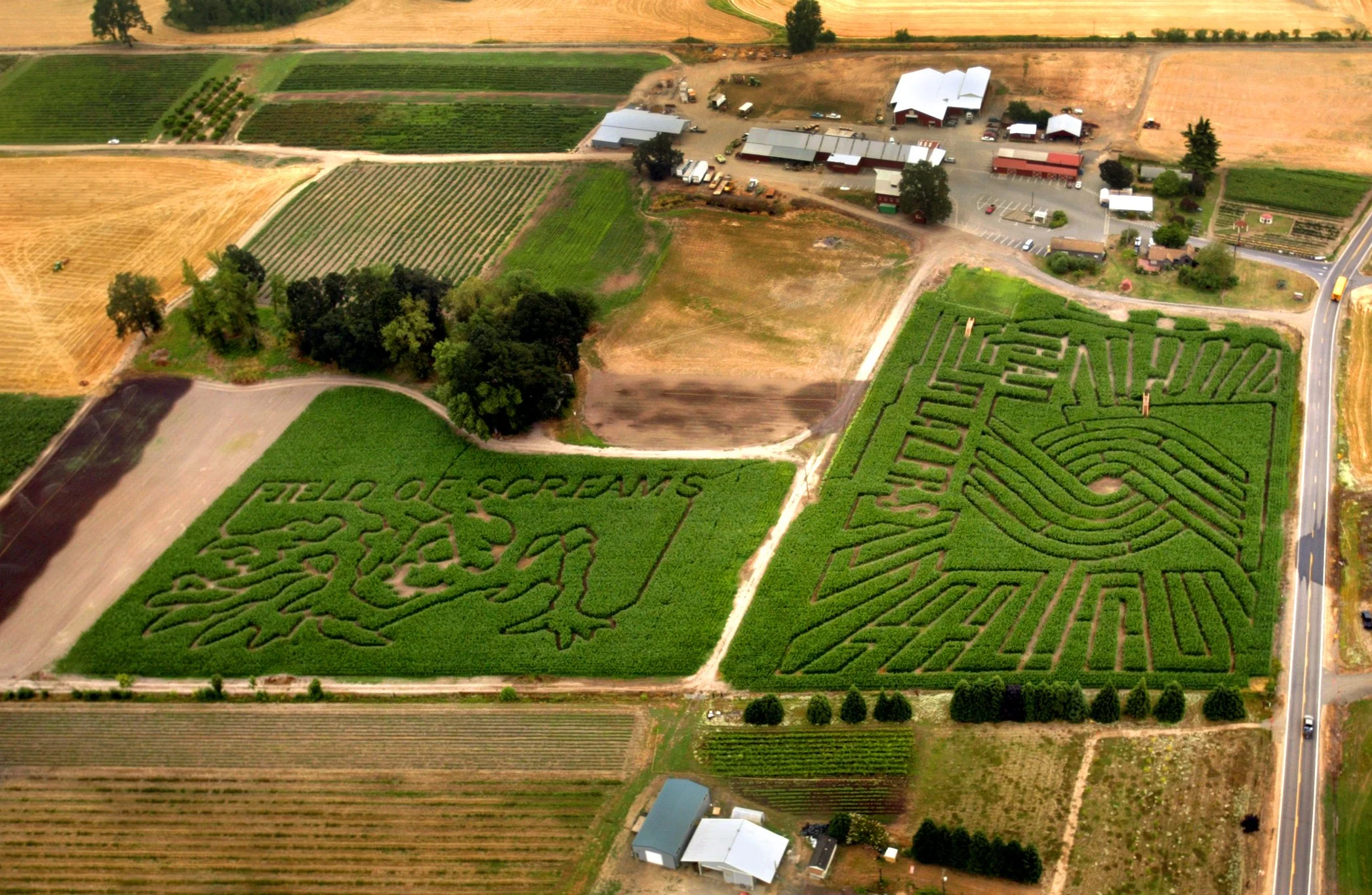 Aerial-of-Both-Mazes.jpg