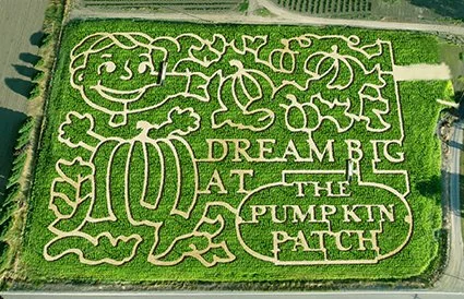 2015-MAiZE-aerial-Photo_web.jpg