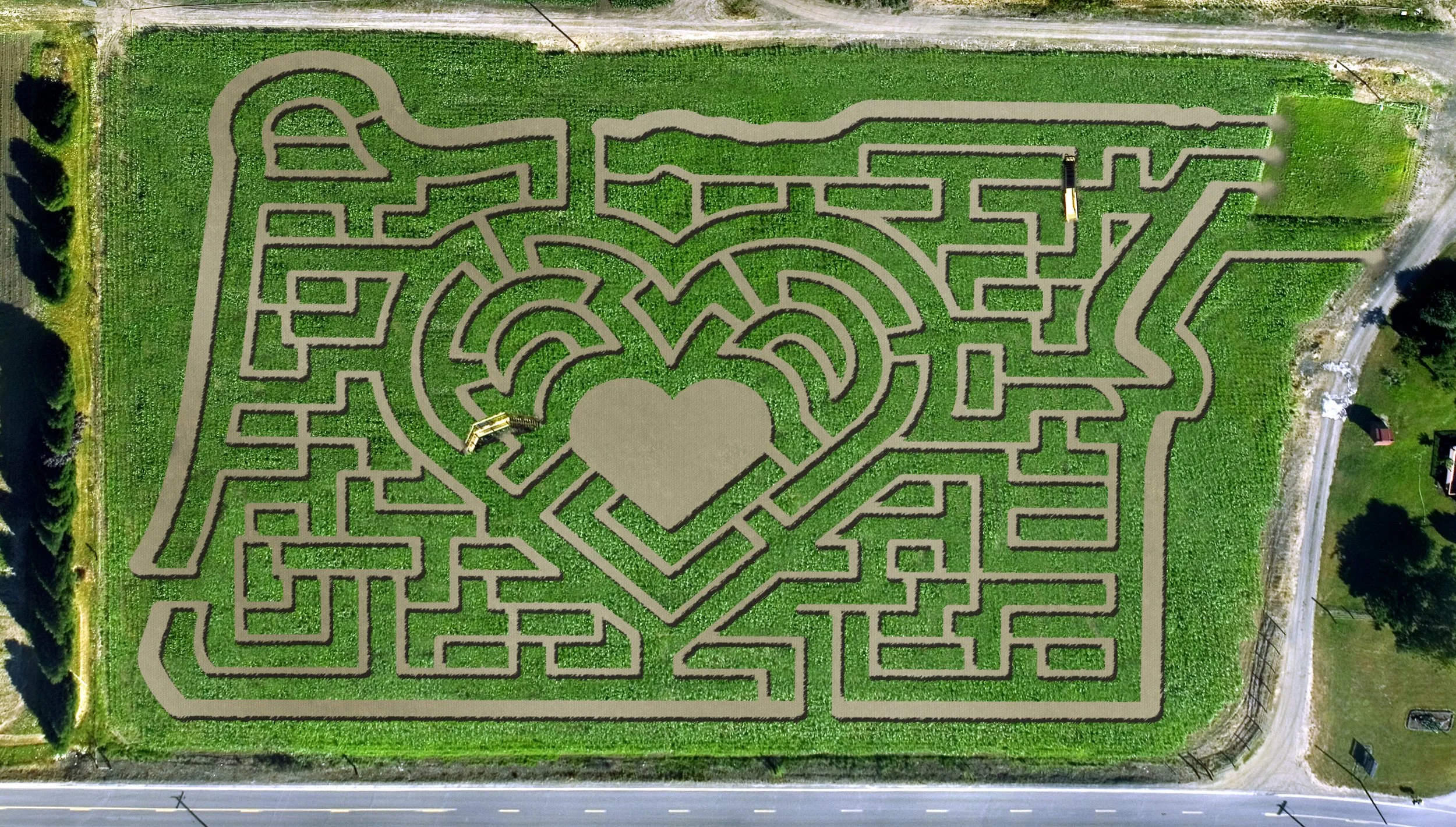 2010_Maize_Heart.jpg