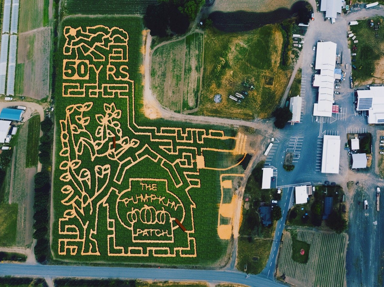 2017-MAiZE-at-The-Pumpkin-Patch.jpg