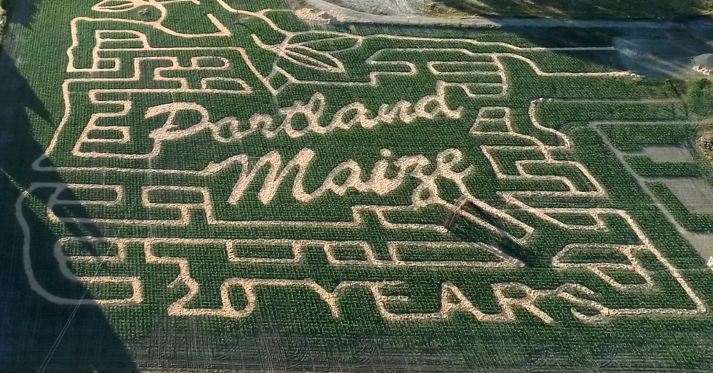 2018maize1-1024x537.png