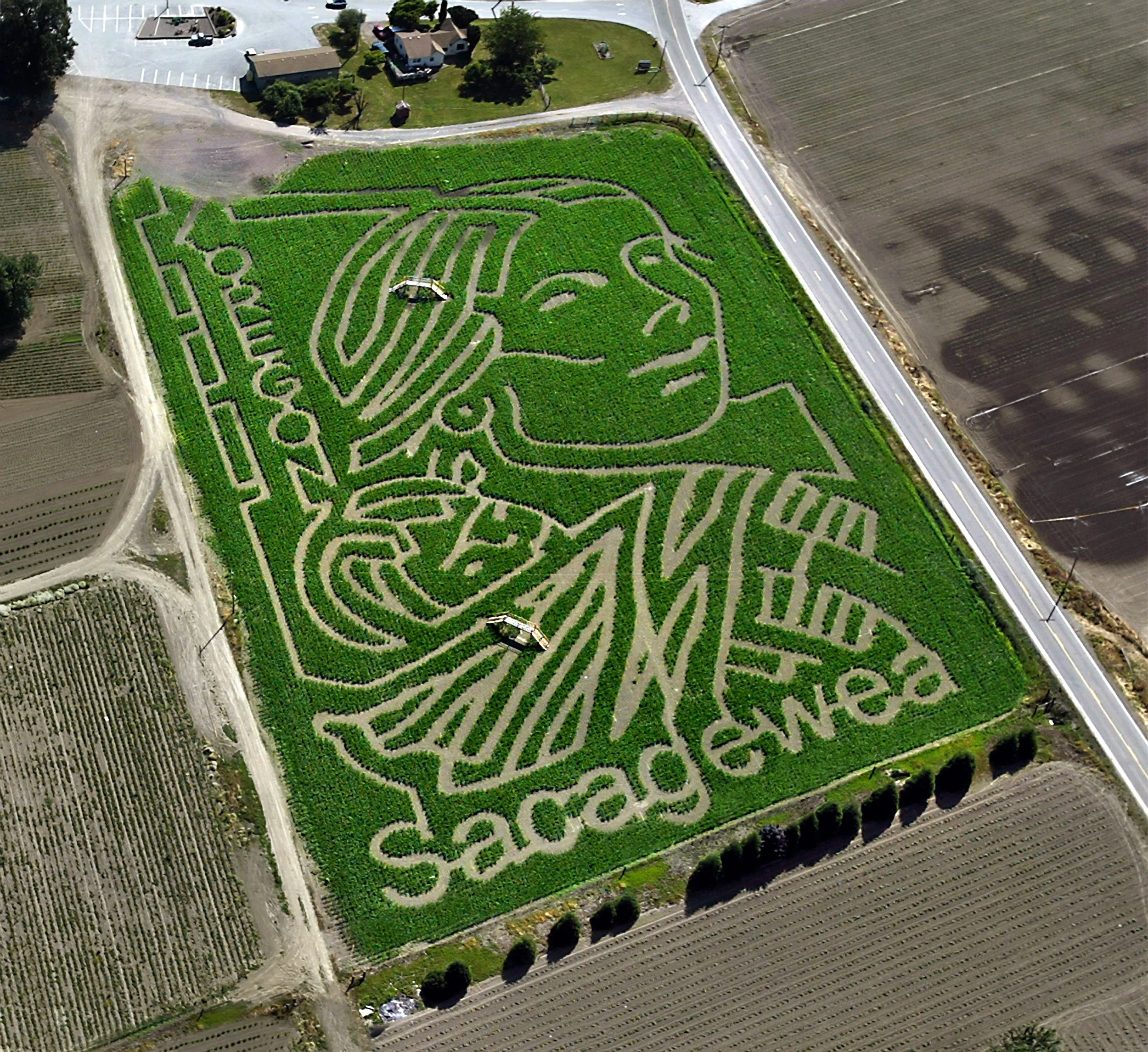 2004-MAiZE-Aerial-Photo.jpg