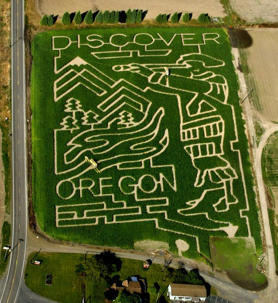 2005-MAiZE-Aerial-Photo-940x1024.jpg