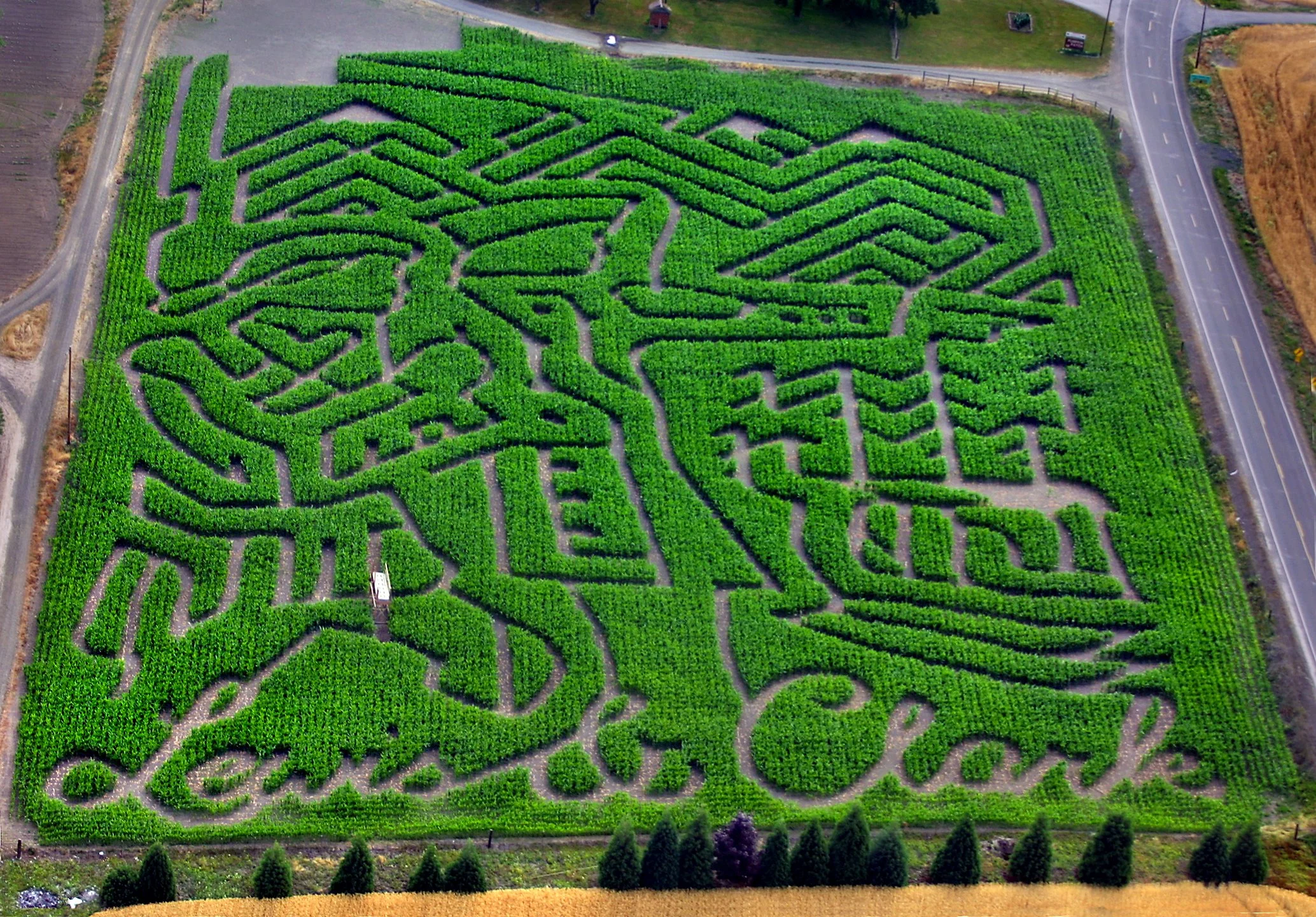 CornMaze2.jpg
