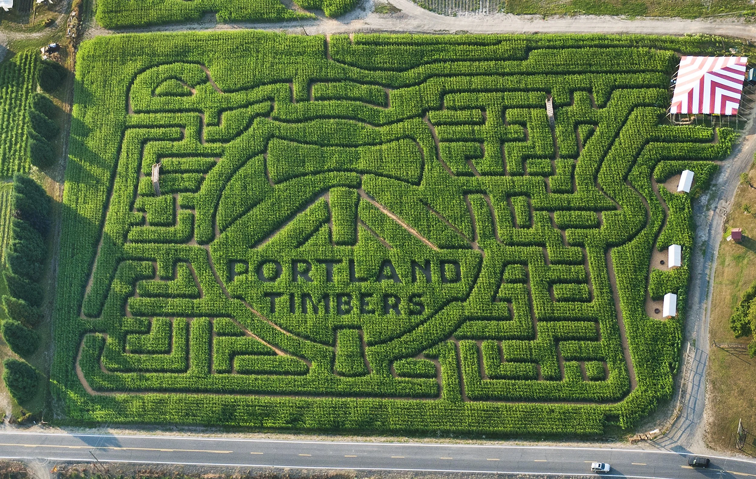 2011_Maize_Timbers.jpg
