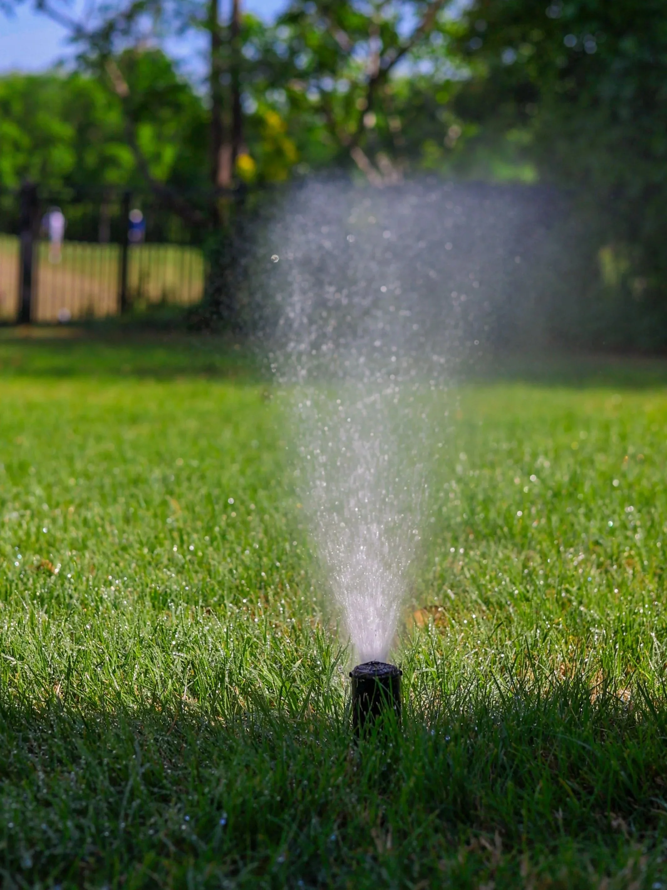 Sprinkler System Inspection