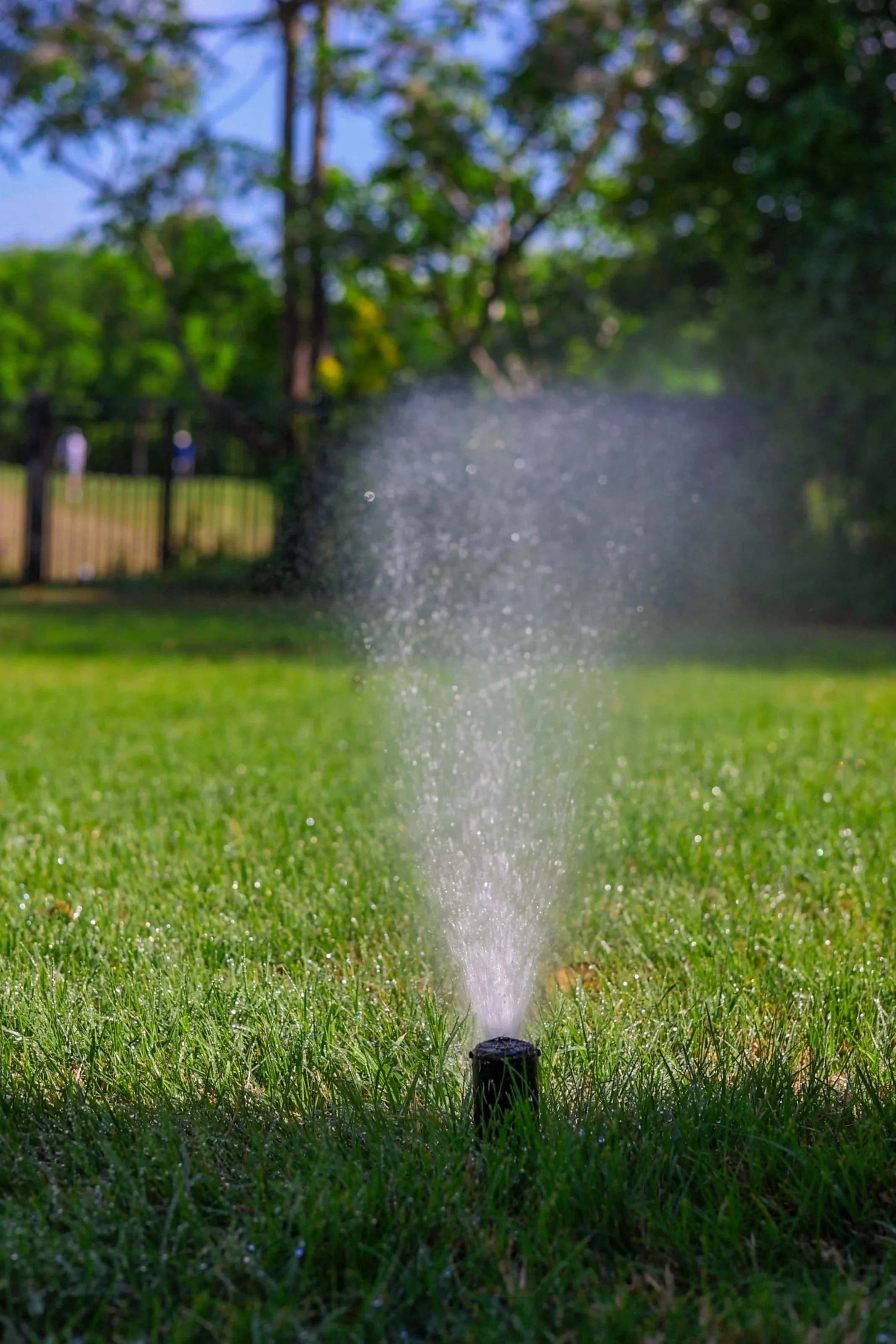 Sprinkler System Inspection
