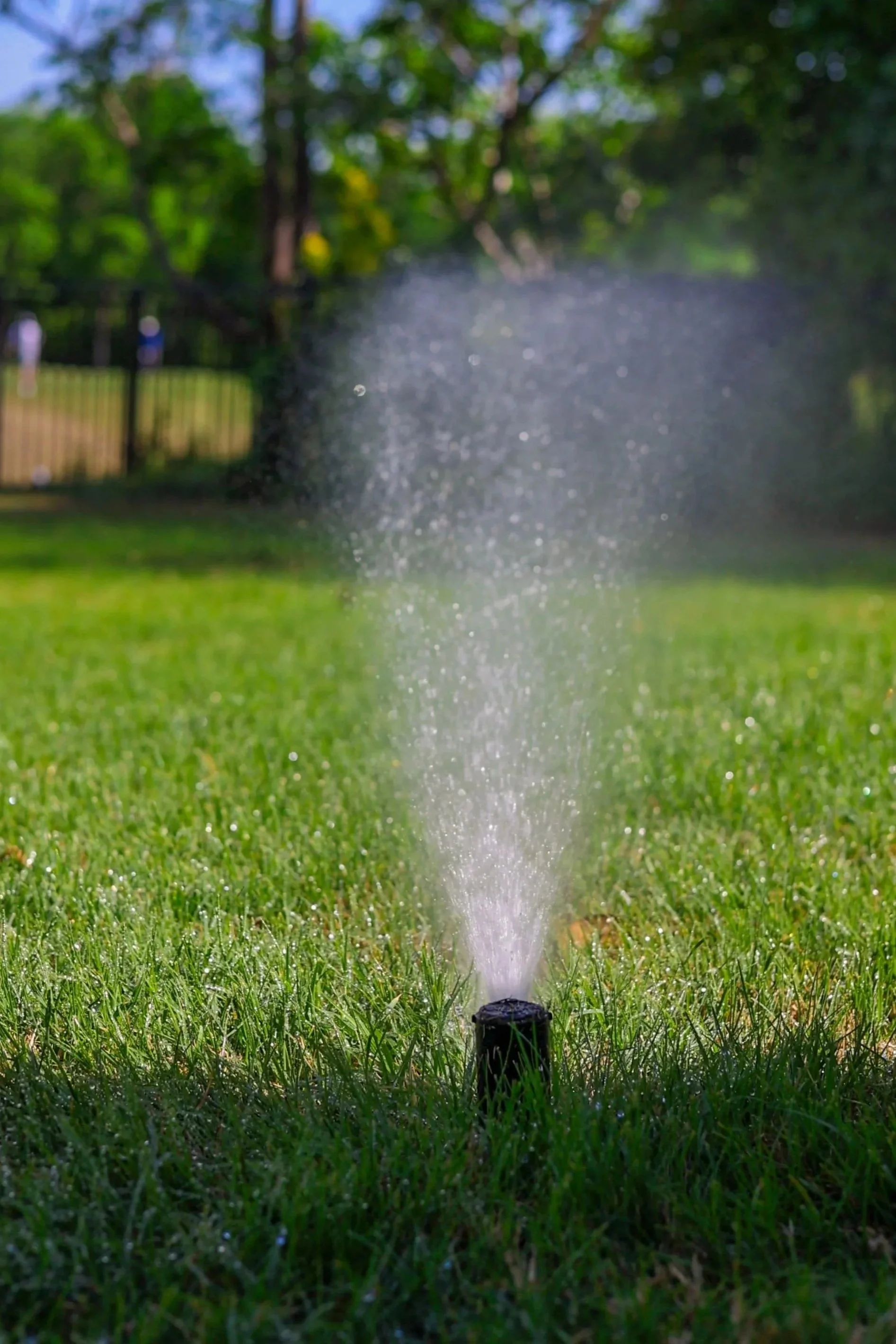 A lawn sprinkler watering green grass outdoors with trees and a fence in the background.