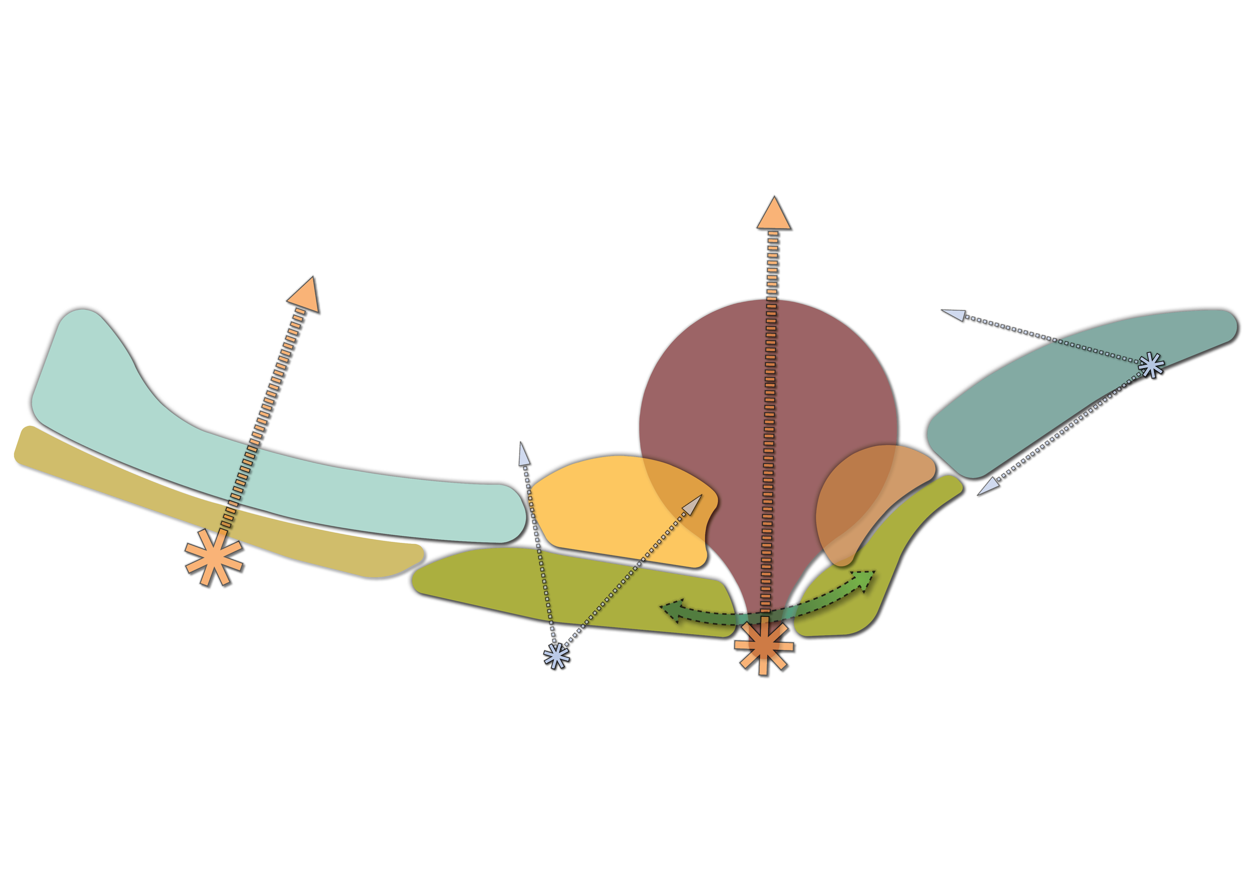 Eastern Beach Reserve Management Plan
