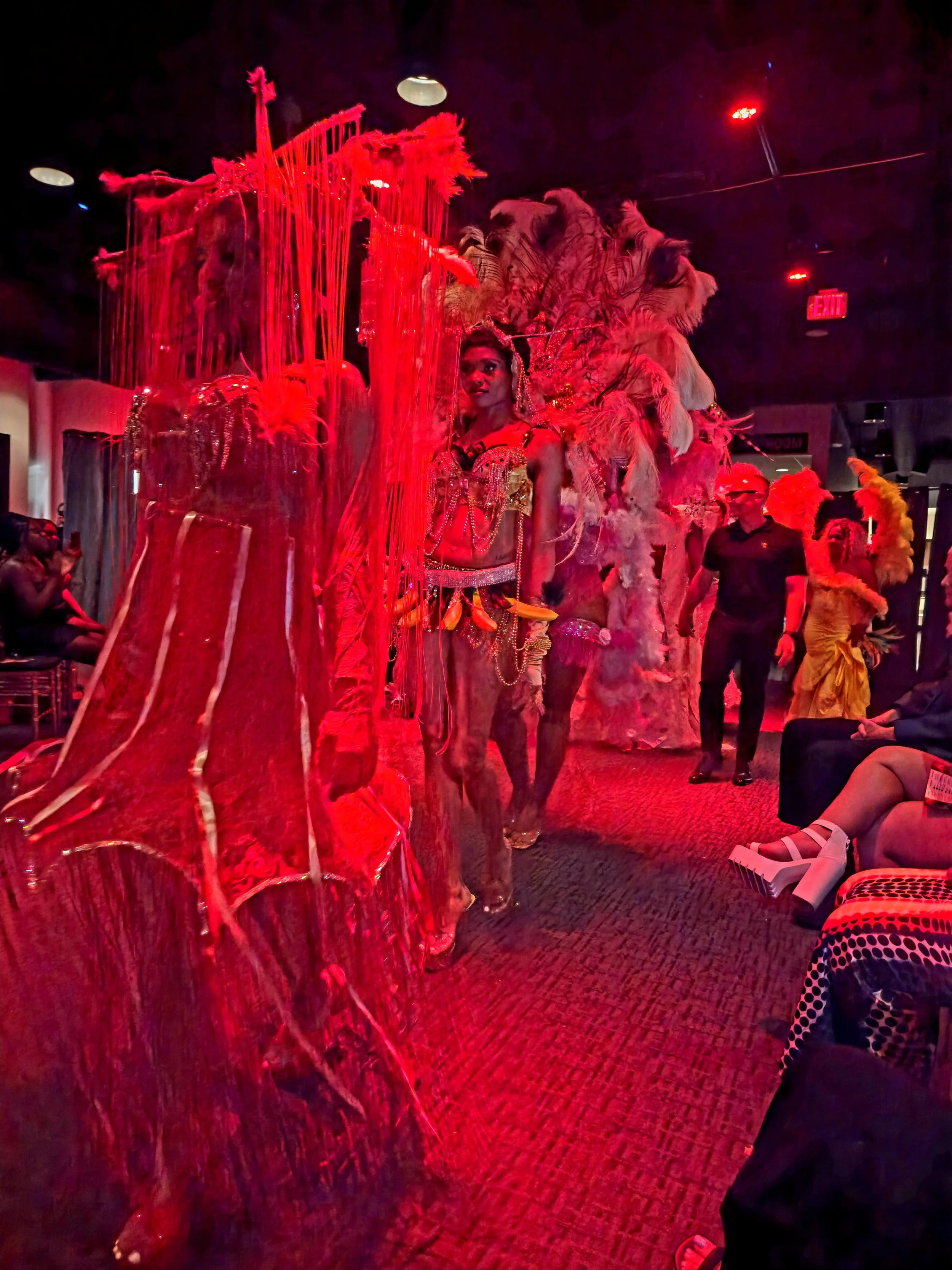 A performer dressed in elaborate, vibrant costume with feathers and beads, standing on a stage with red lighting, surrounded by other performers and audience members.