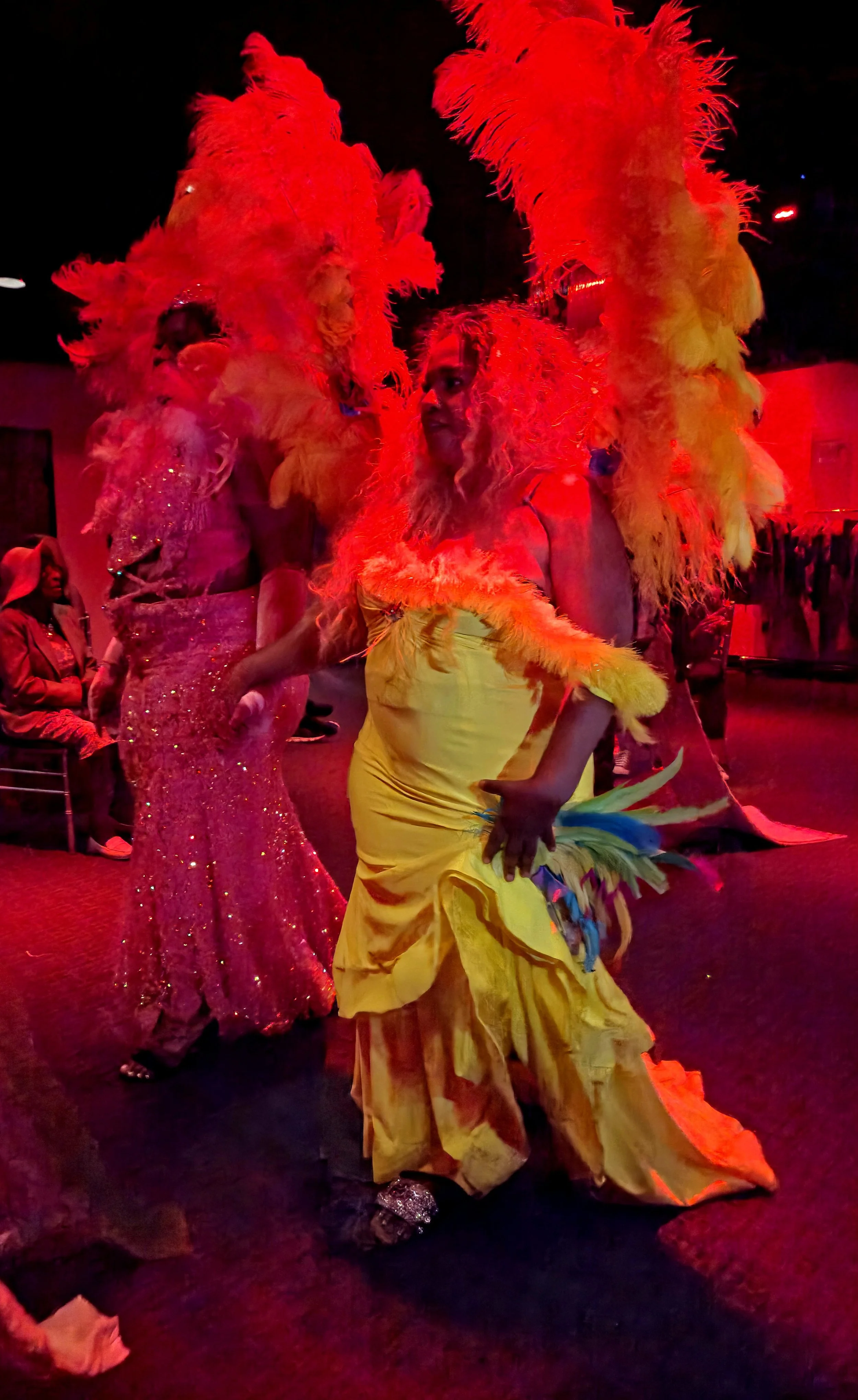 Performers in colorful costumes with large feather headdresses performing on stage, with an audience watching.