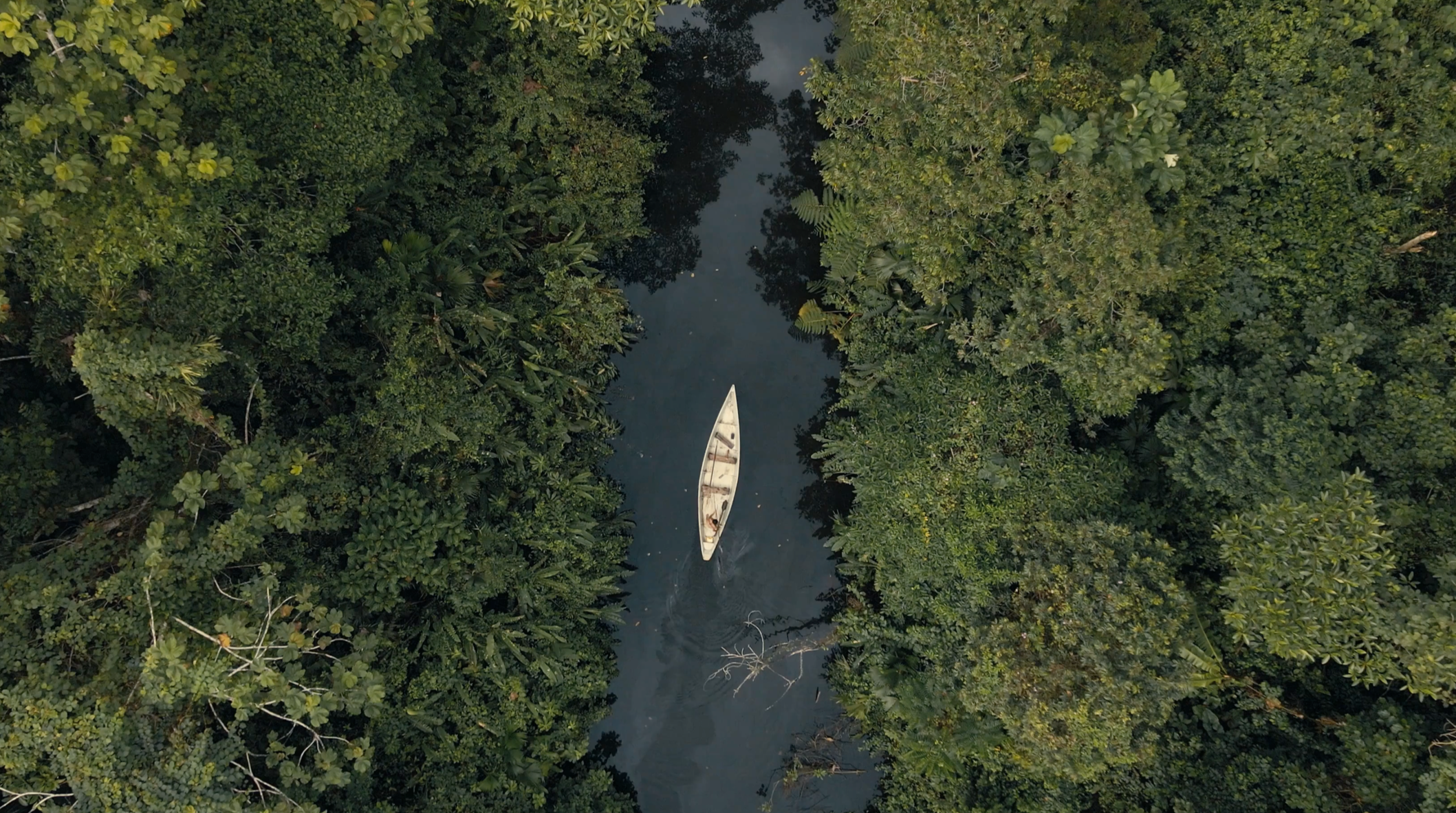 Amazon Teaser Project