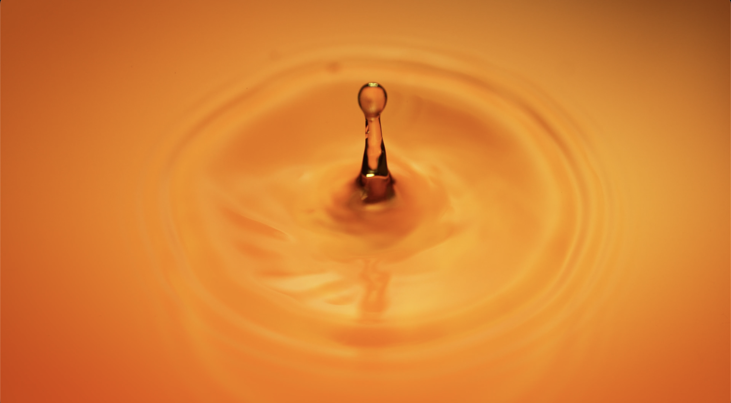 The "Whisky" Project