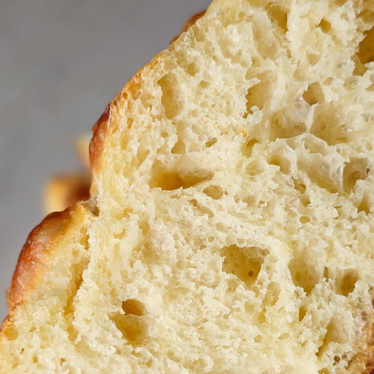 sea salt focaccia v4.png