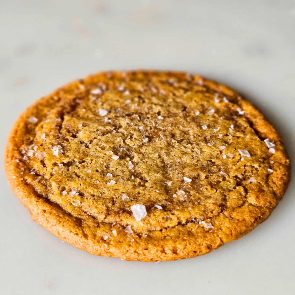 salted honey cookie v2.png