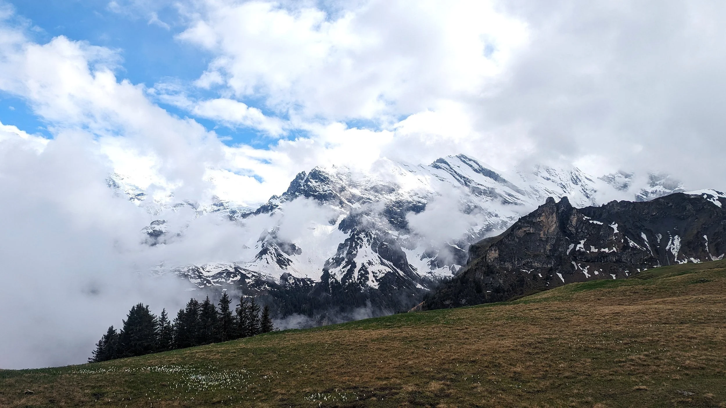 Swiss Alps view