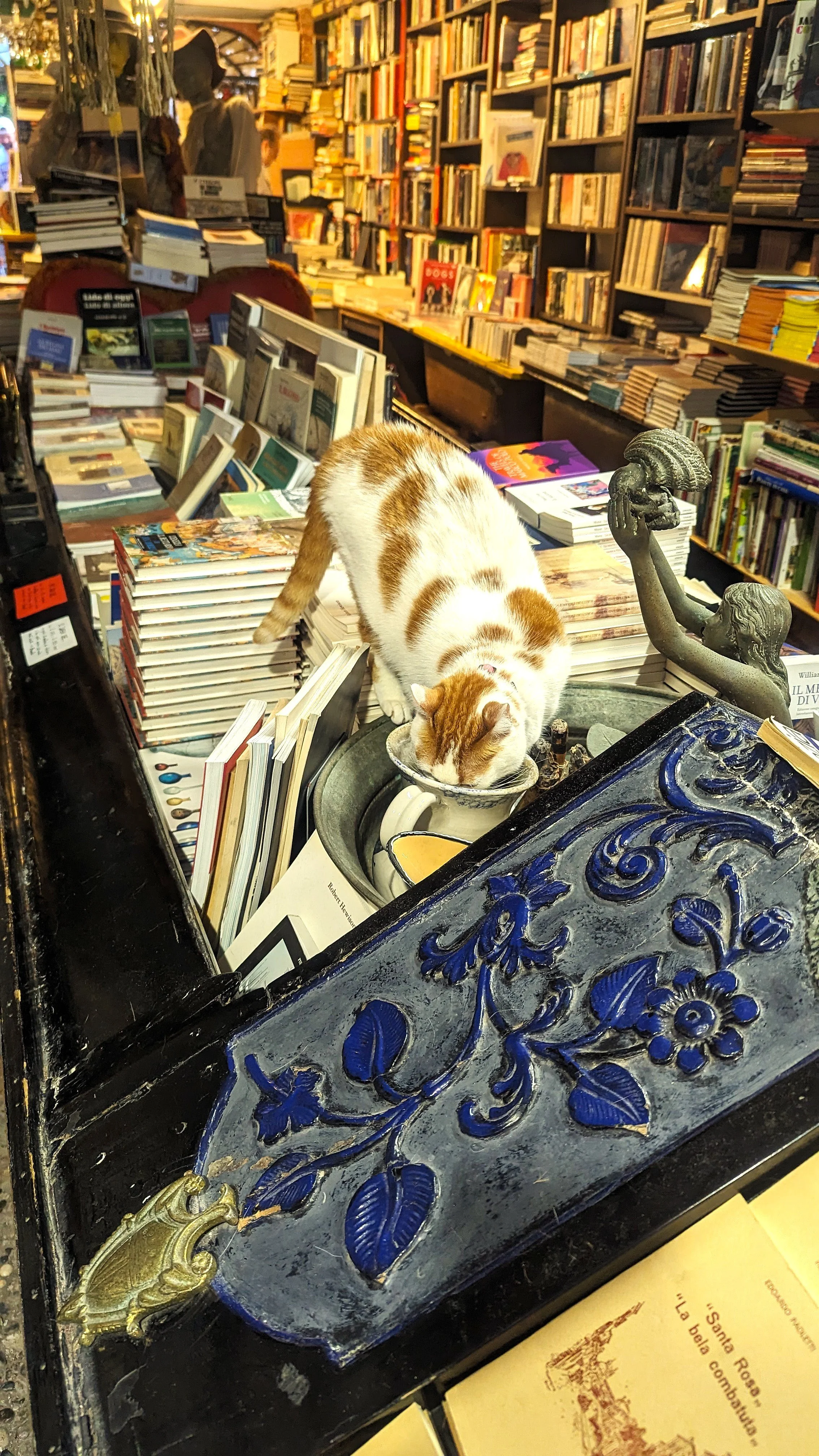 Libreria Aqua Alta