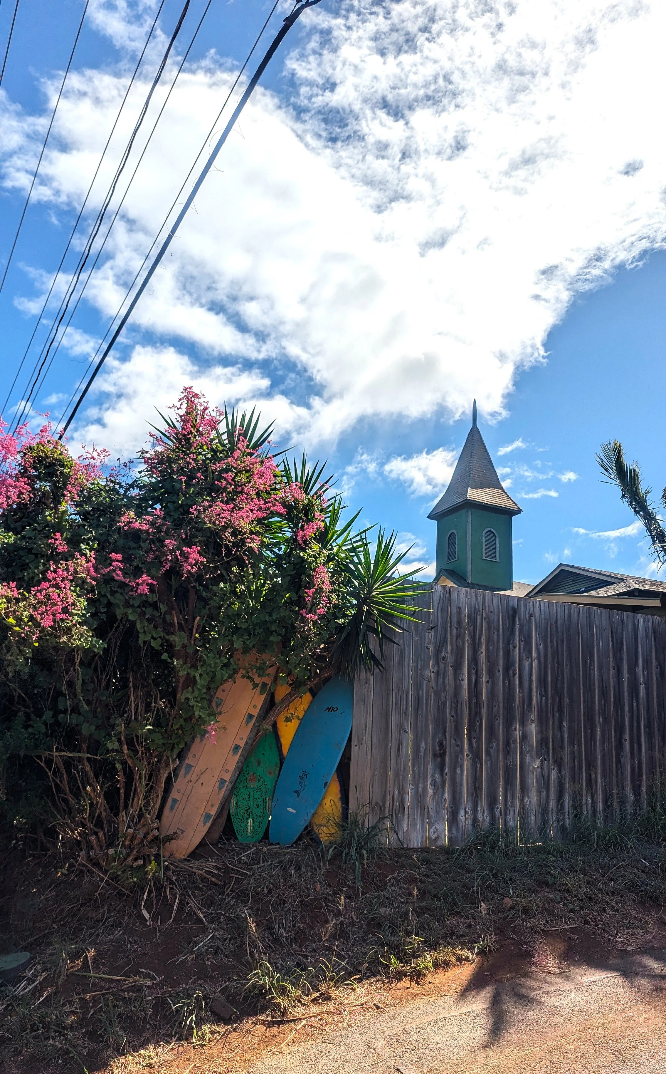 Paia