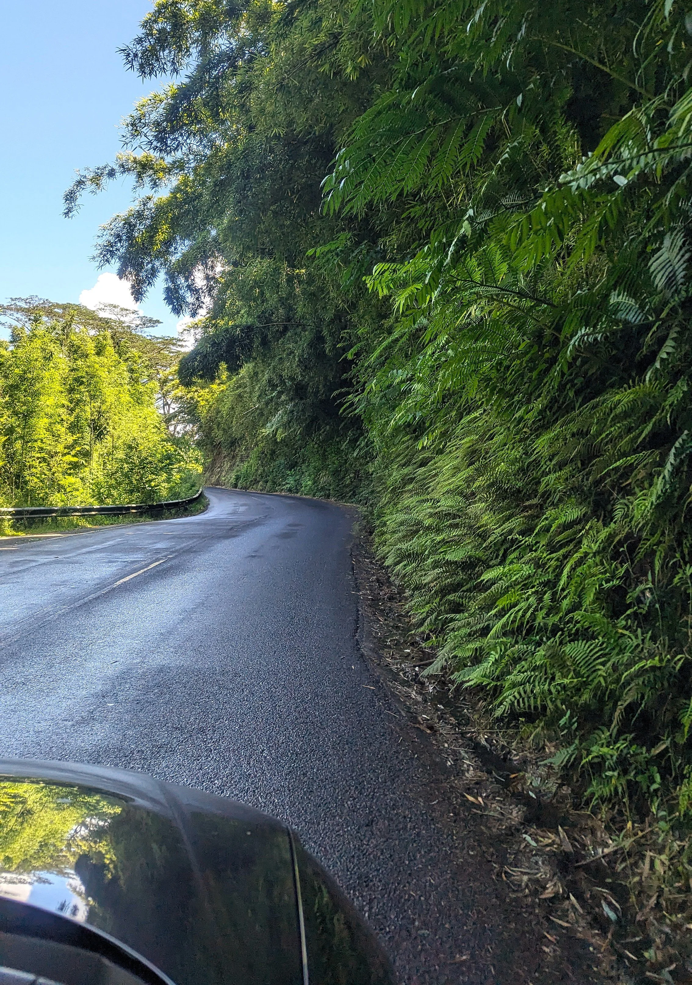 Road to Hana