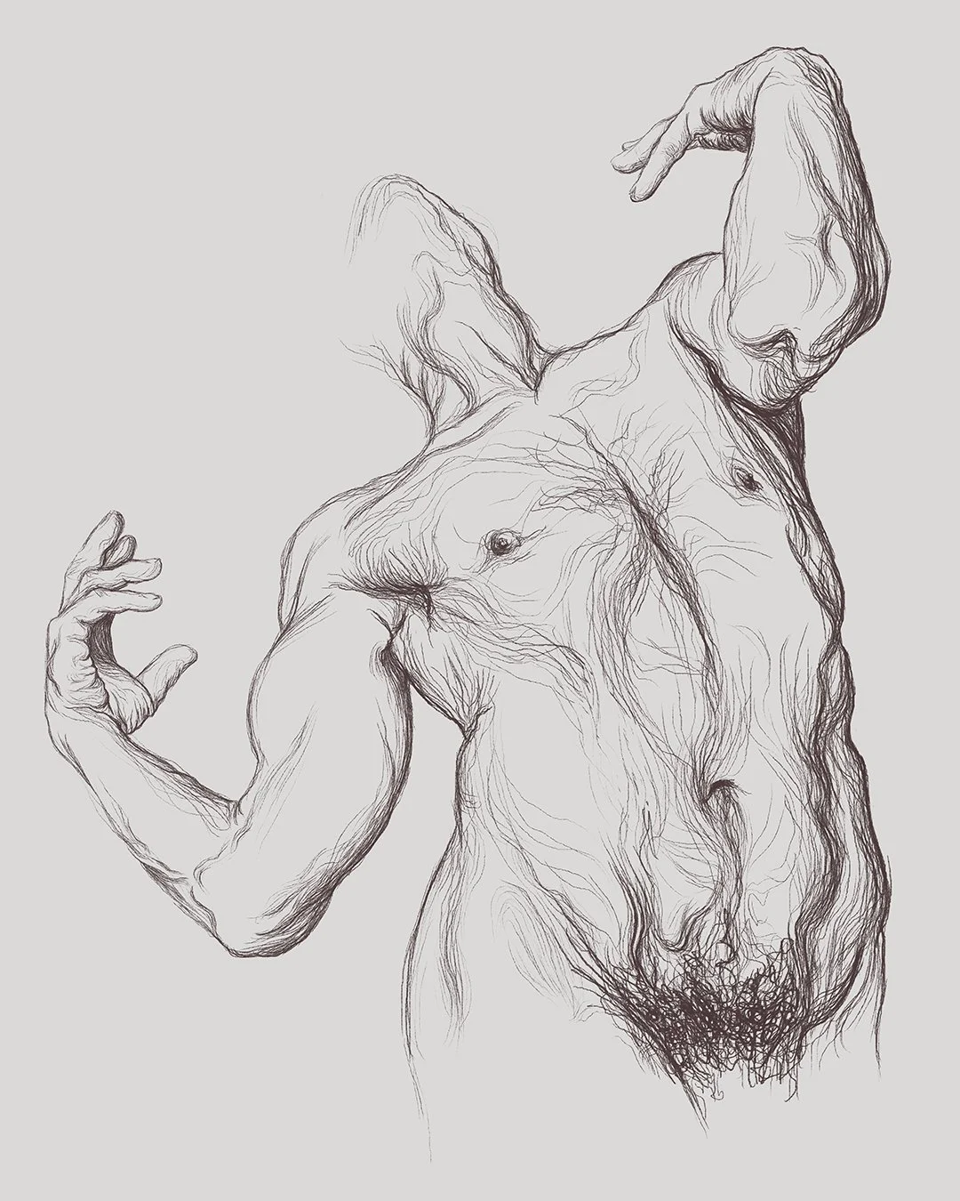 Wild Beasts_40x50_web.jpg