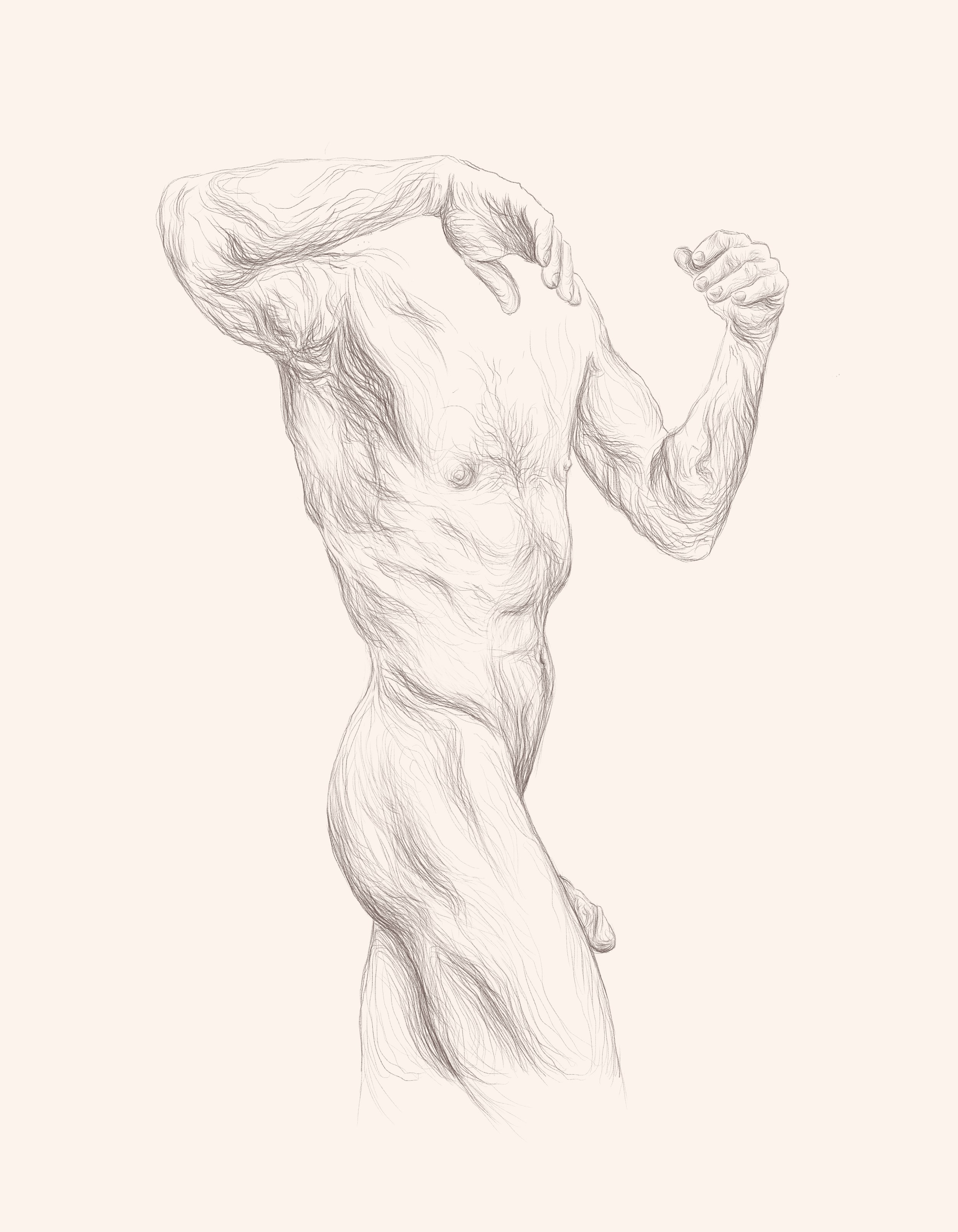 Torso of a Man_35x45.jpg