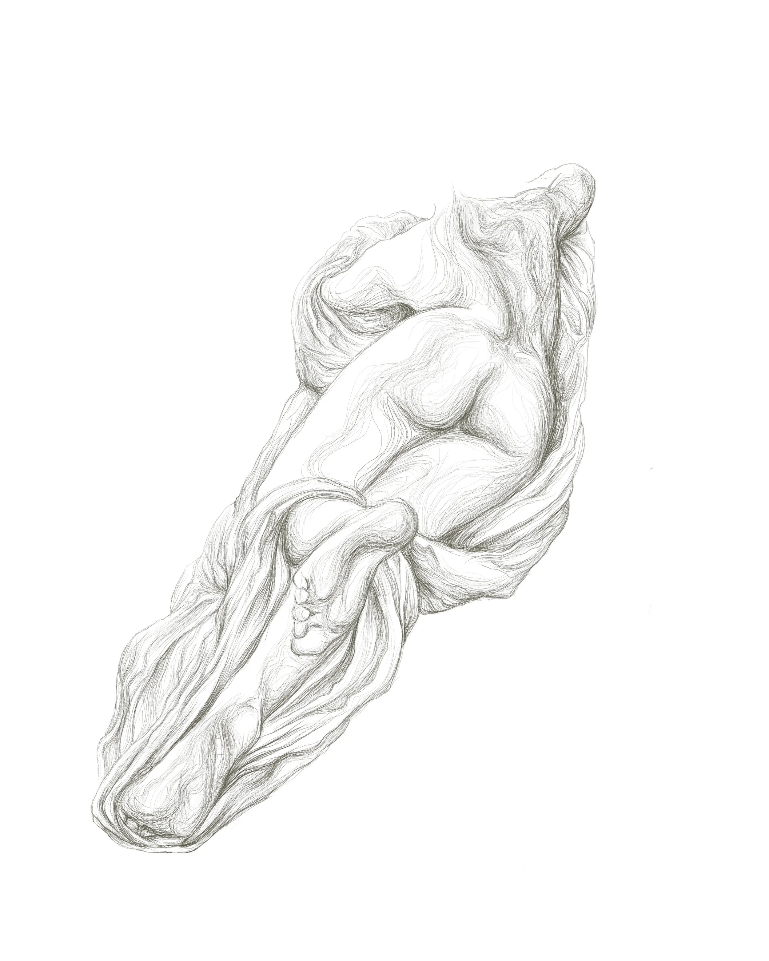 Nude Figure after Bernini_Sleeping Hermaphroditus_40x50.jpg