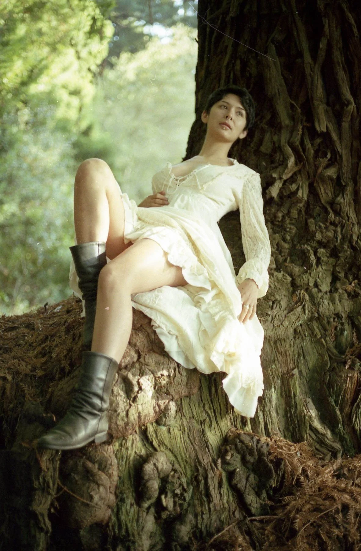 Izi, The Grove of the Old Trees in Occidental California ~Expired Kodak 200 speed film
