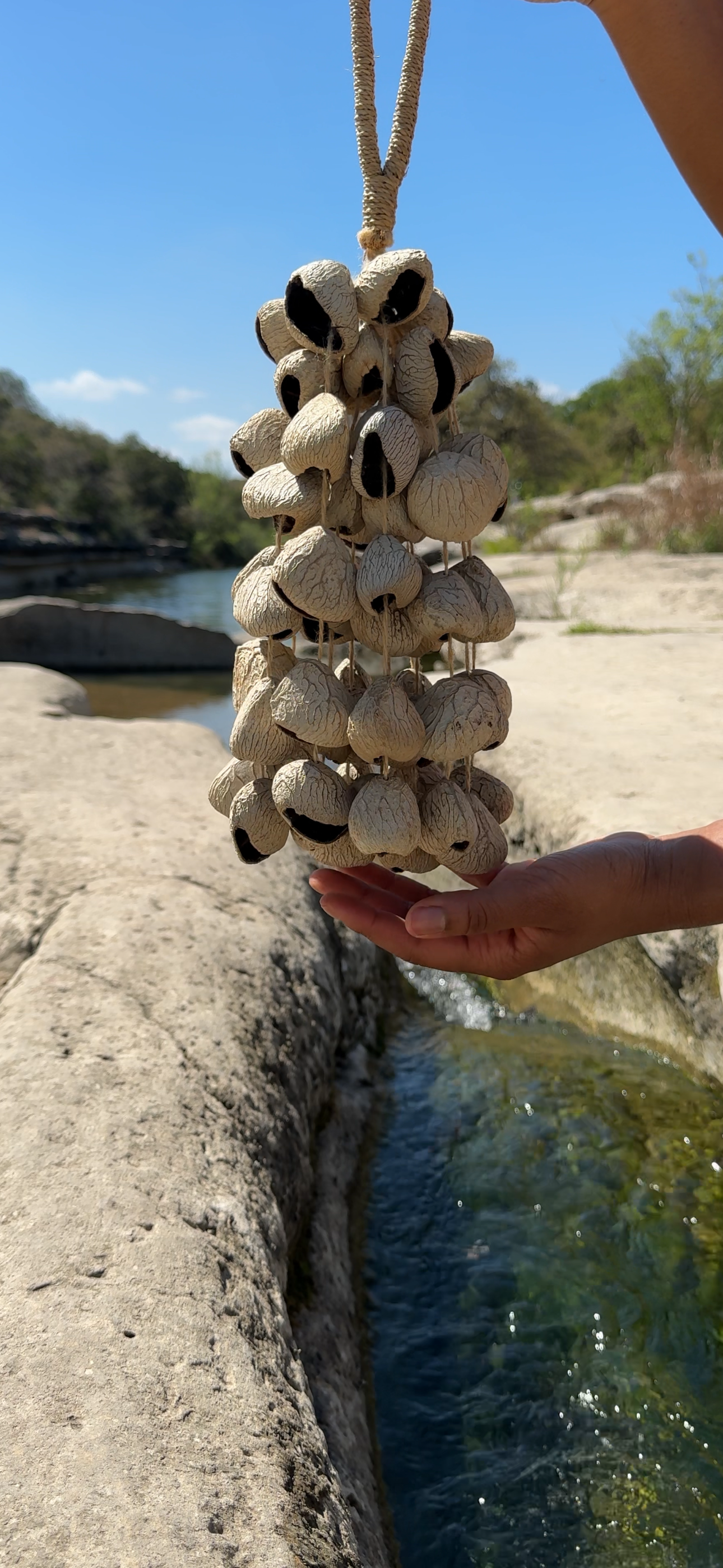 A person holding a cluster of large seed pods with black seeds inside, over a rocky stream with clear water and a natural outdoor setting under a blue sky.