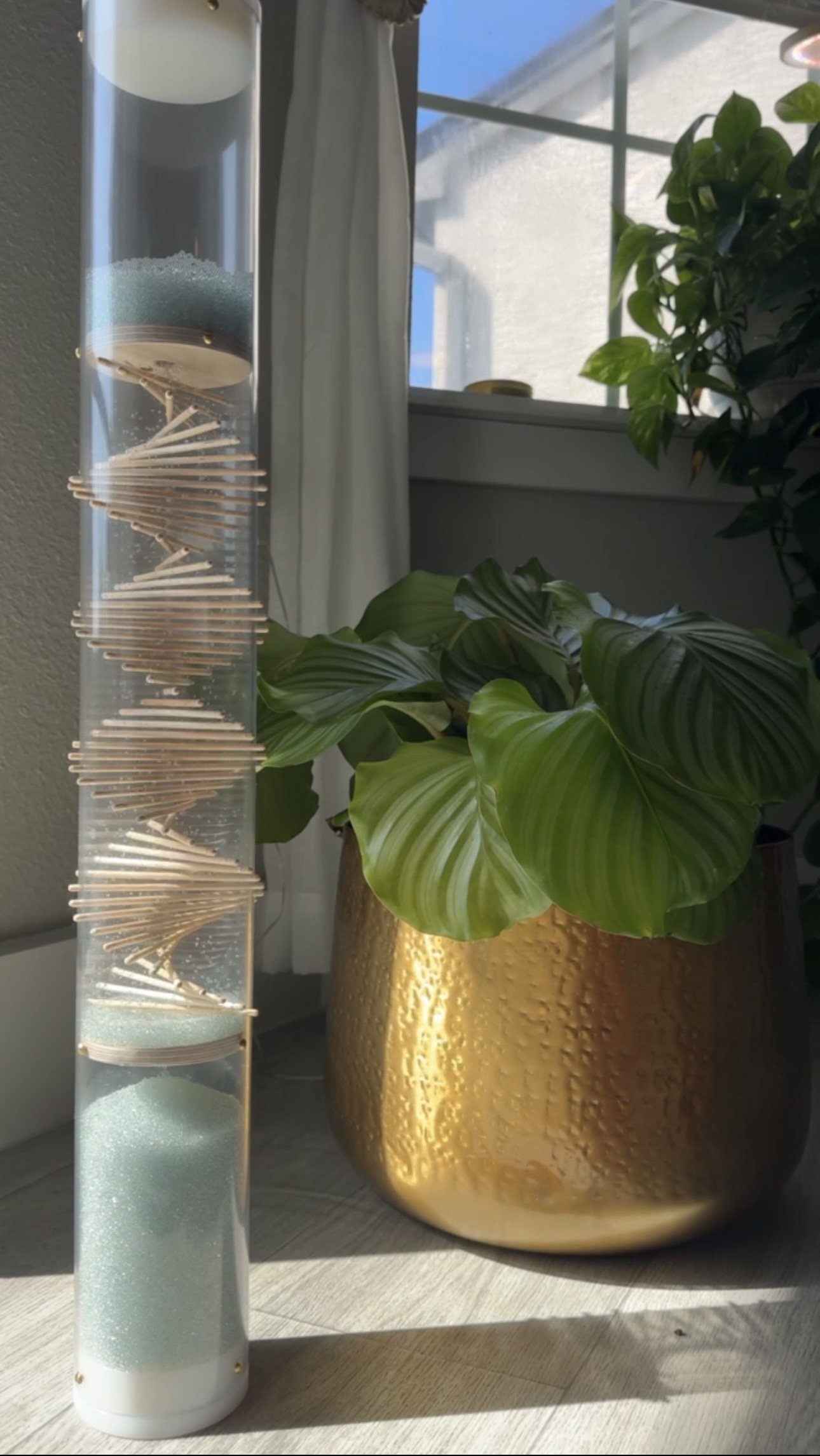 A tall, transparent, cylindrical object filled with layers of round, pastel-colored discs and wooden sticks arranged in a spiral pattern, standing next to a large gold-colored textured planter with a lush green plant on a wooden surface near a window