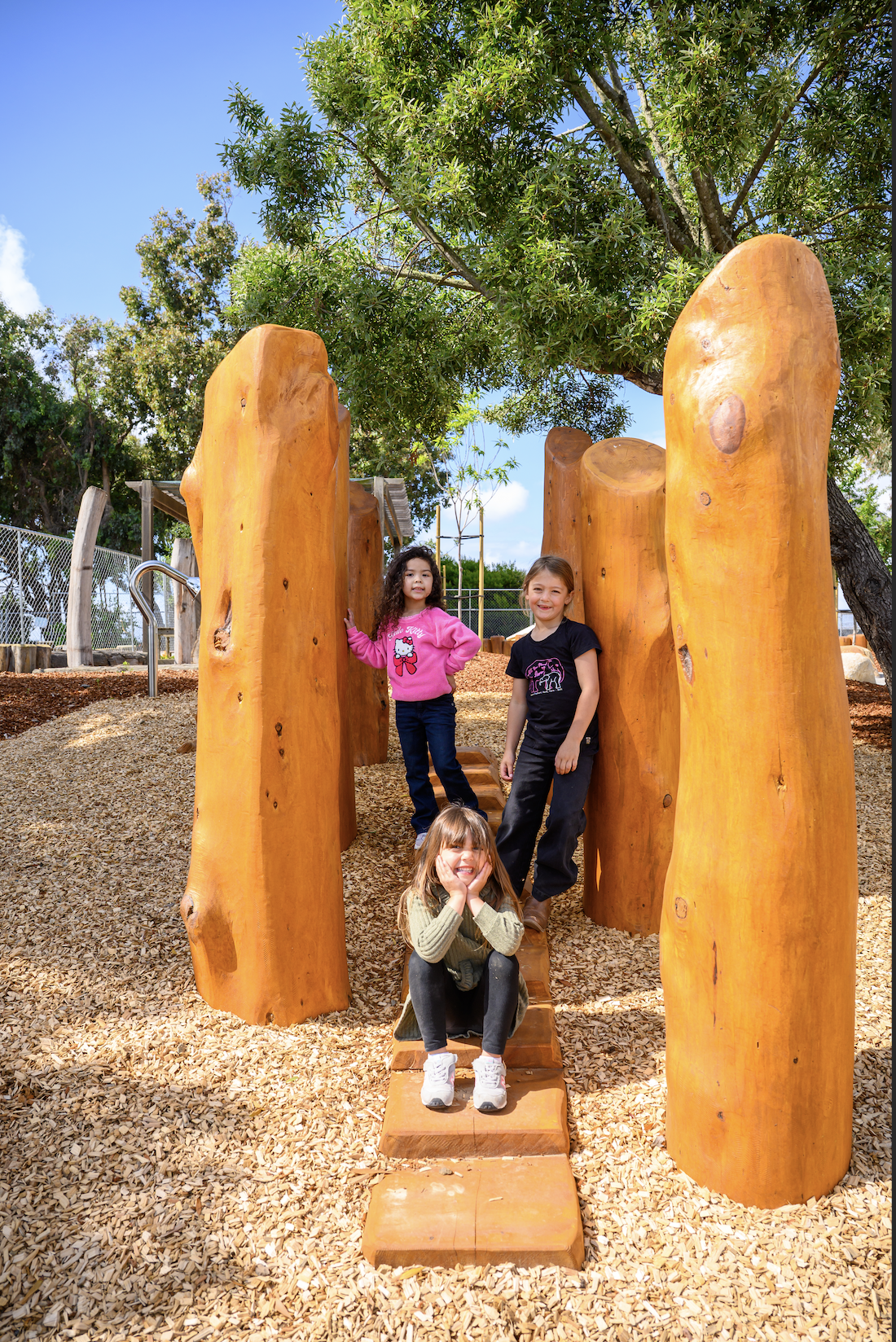 The Geometry of Play: Why Fallen Logs Beat Traditional Playgrounds Every Time