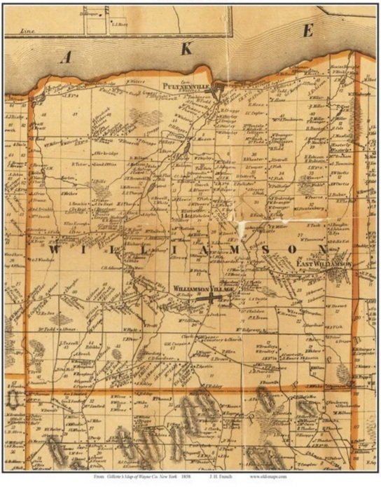 Historical map of Williamson County, Illinois, from 1858, showing towns, roads, and geographic features along with a navigational grid.