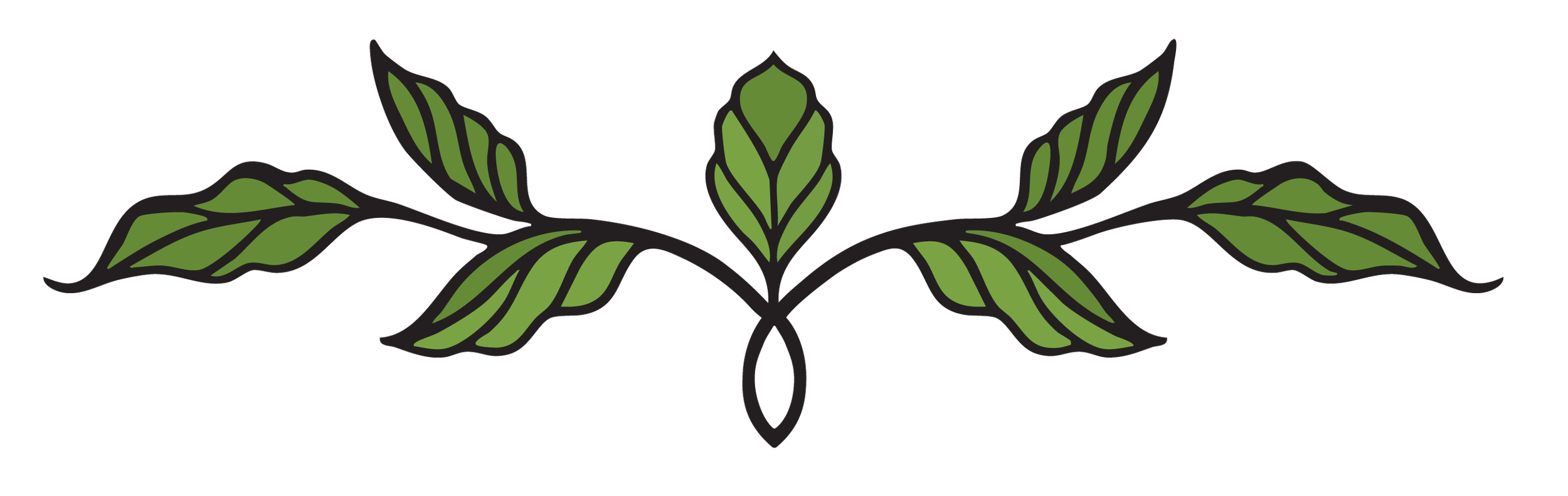 Diagram of a molecule with green leaves attached to black lines, depicting a botanical or natural compound.